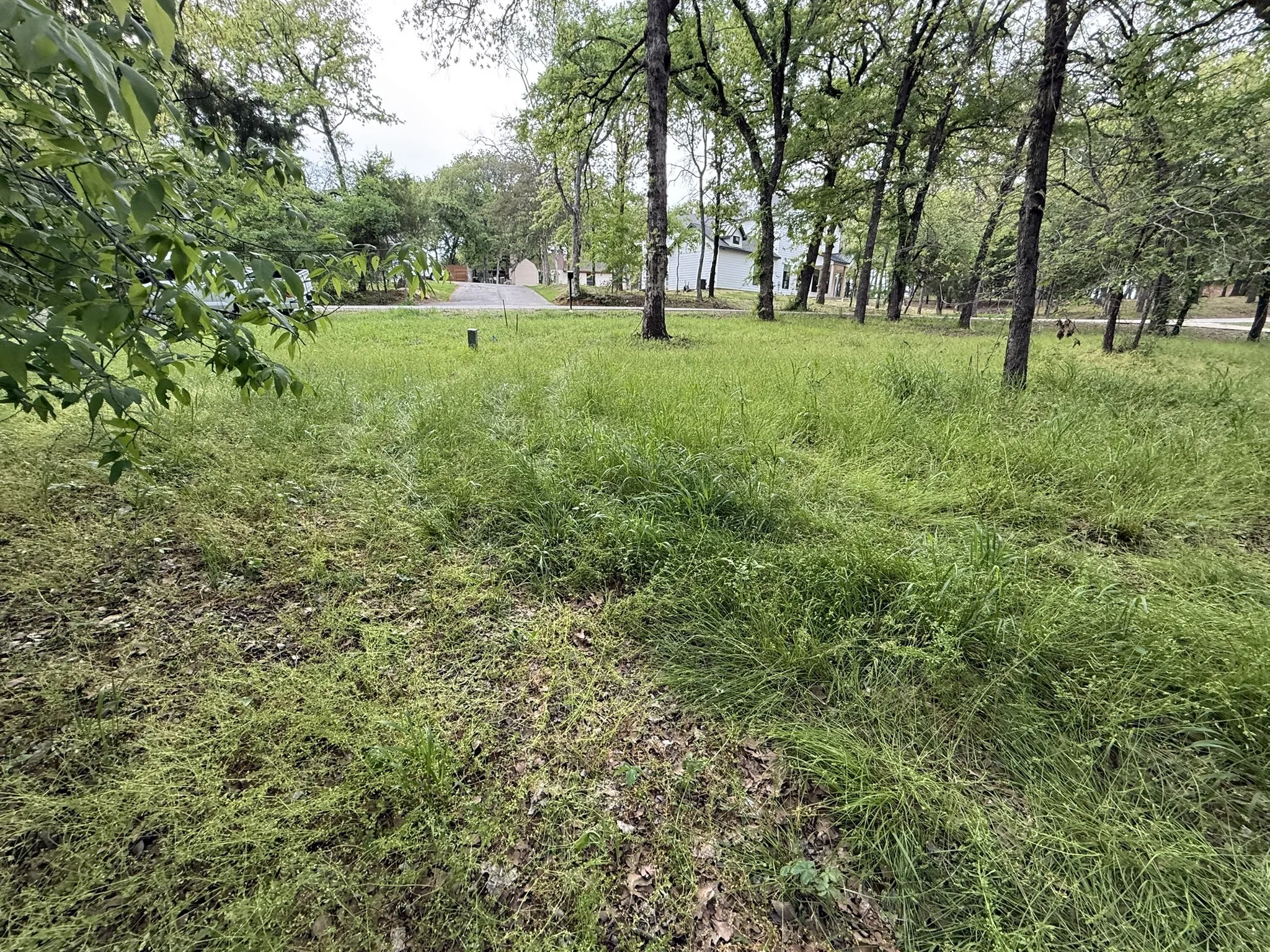 Expansive grassy lot featuring mature trees throughout