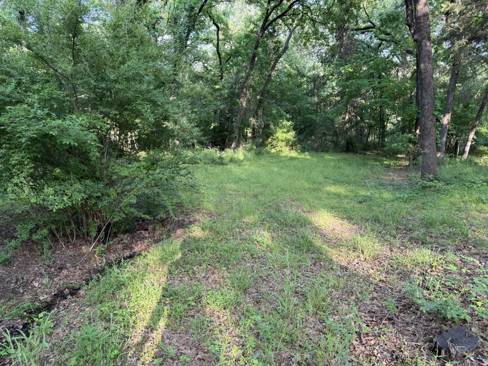 Expansive grassy clearing surrounded by mature trees, offering a natural setting