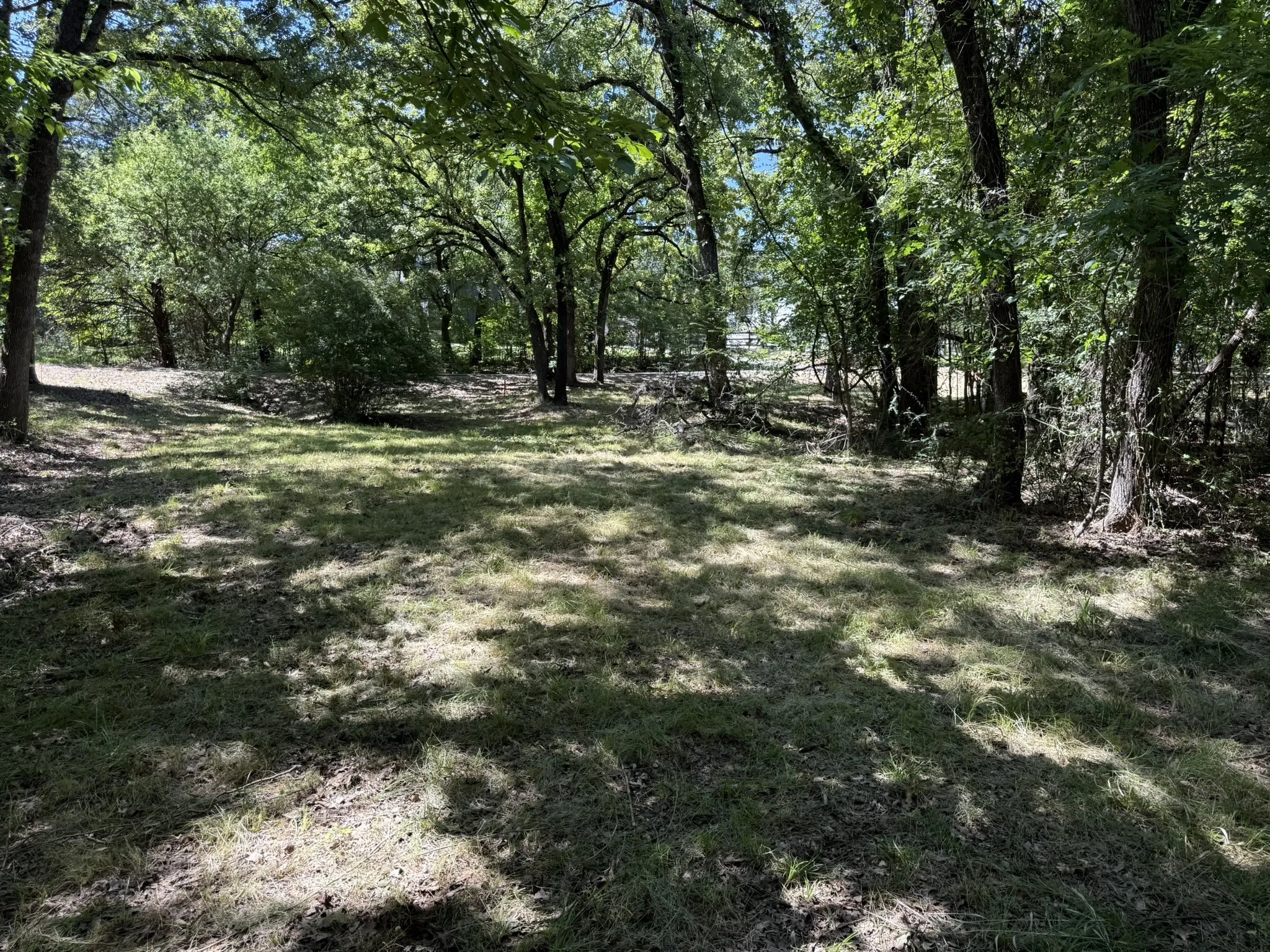 Wooded lot featuring mature trees, partial clearing, natural landscaping, dappled sunlight, and varied terrain