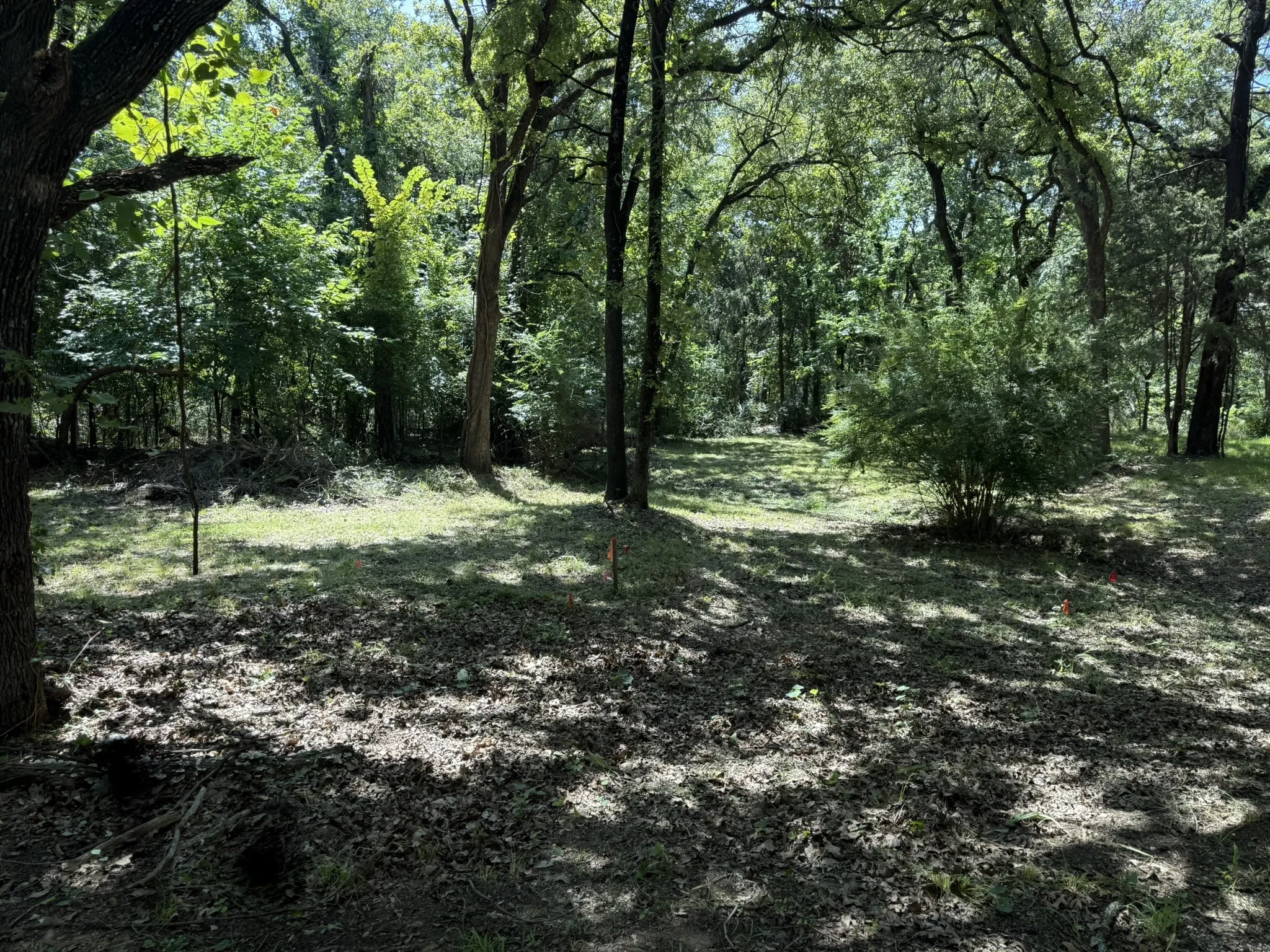 Expansive wooded lot featuring mature trees and partial clearing