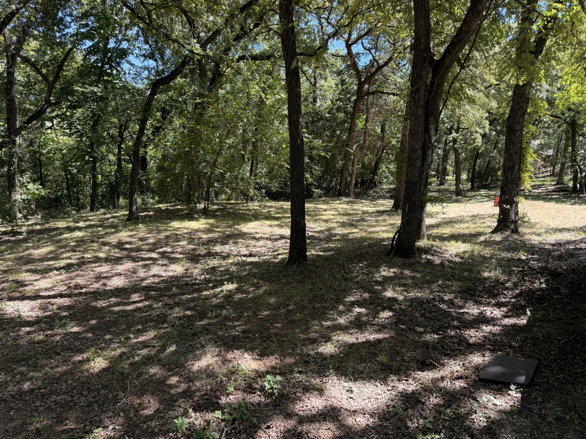 Wooded lot featuring mature trees and dappled sunlight