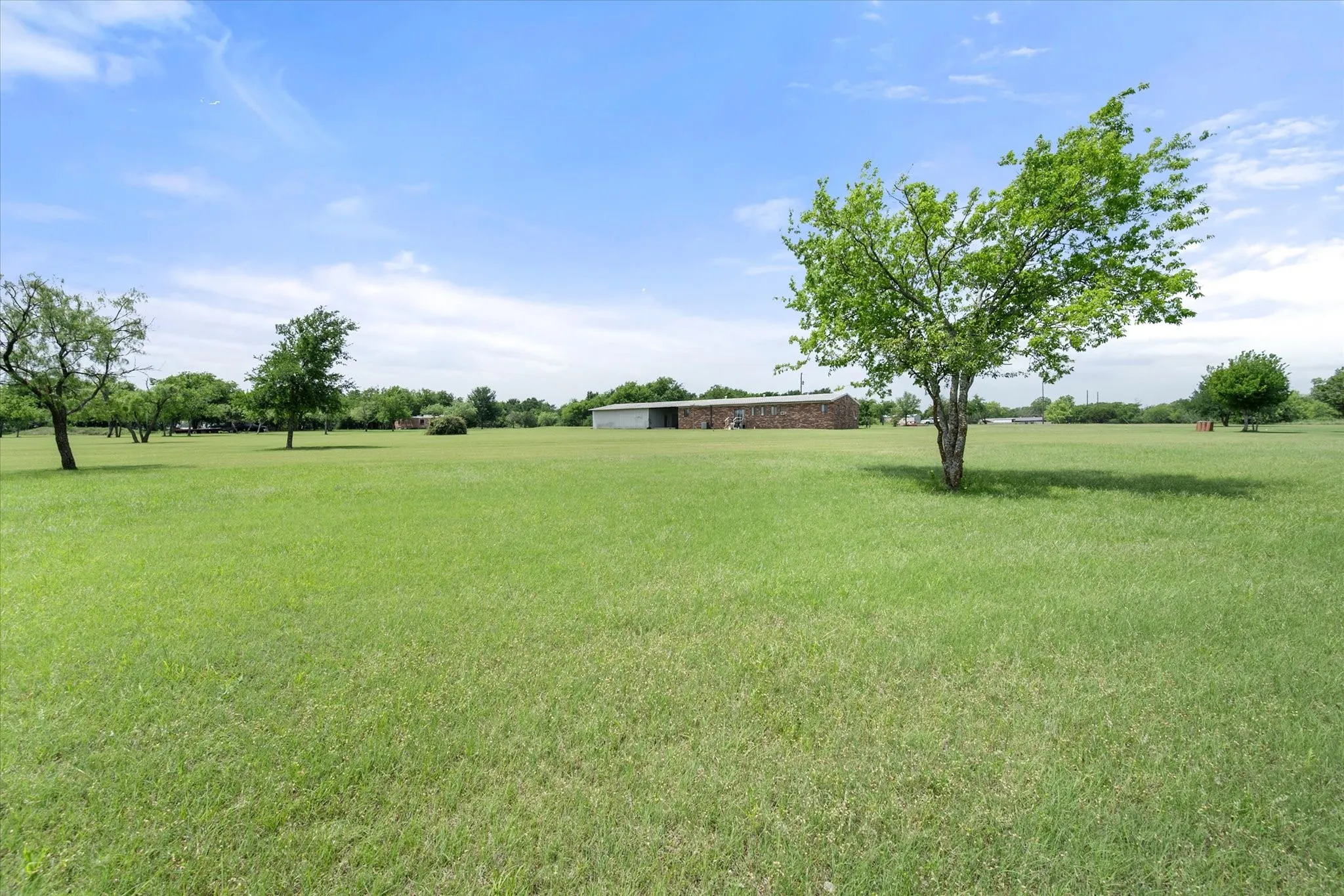 Expansive green space featuring scattered mature trees and a distant building with a metal roof