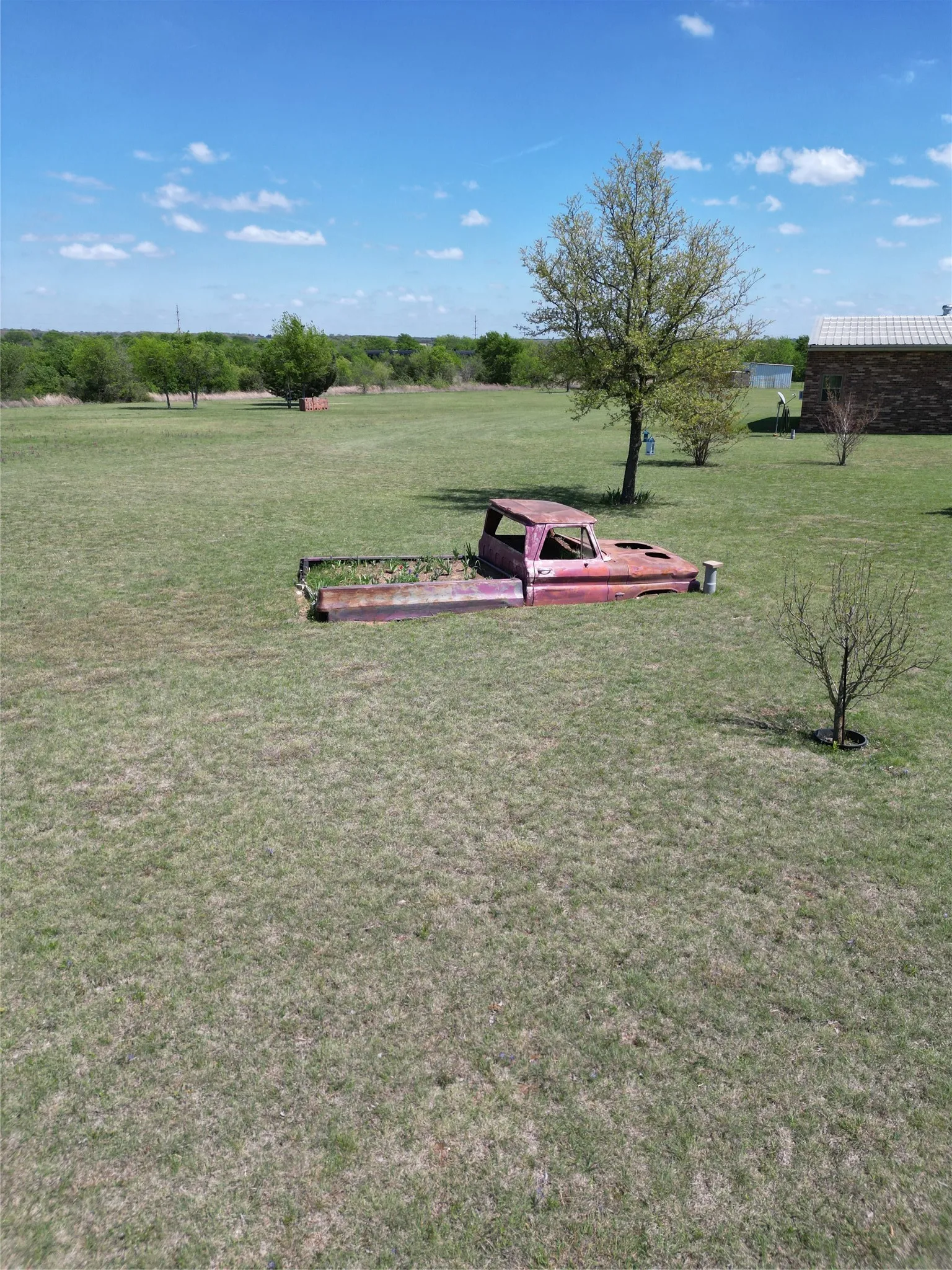 View of grassy yard