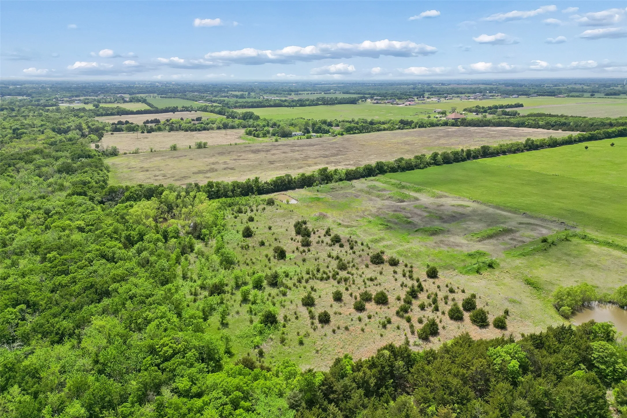 Farm For Sale in Fannin County , 579 County Road 5005, Blue Ridge, Texas 75424, 4 Bedrooms, 3 Bathrooms, Garage spaces, 2,900 Sqft, built in 2020, Preowned, Price $1,150,000, mls#21228401, Real Estate Agent in Blue Ridge, Homes For Sale in Fannin county, Homes For Sale in Blue Ridge, Realtor in Blue Ridge Texas, Real Estate Brokerage Independent Realty Texas, Luminita Cordes Realtor