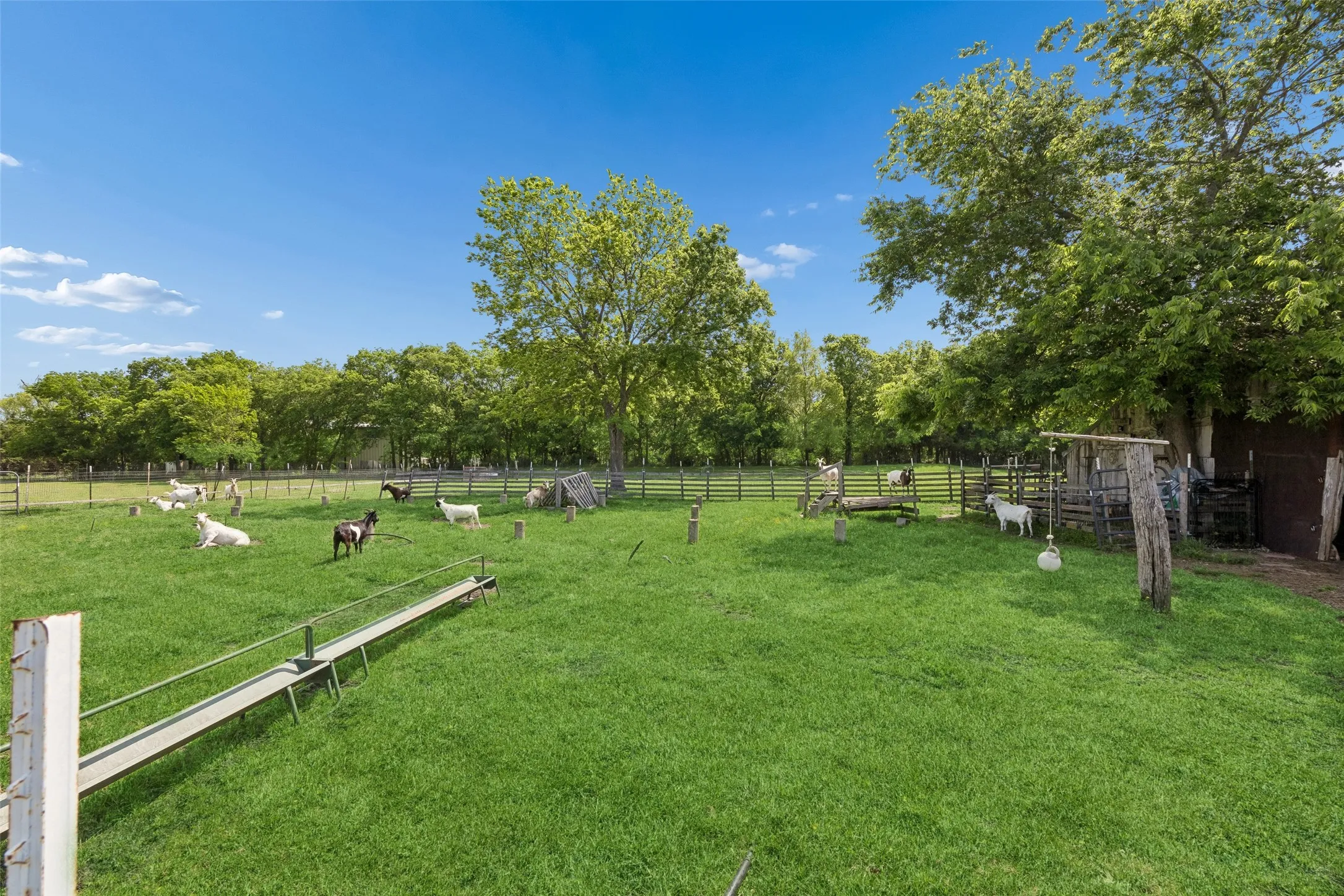 Farm For Sale in Fannin County , 579 County Road 5005, Blue Ridge, Texas 75424, 4 Bedrooms, 3 Bathrooms, Garage spaces, 2,900 Sqft, built in 2020, Preowned, Price $1,150,000, mls#21228401, Real Estate Agent in Blue Ridge, Homes For Sale in Fannin county, Homes For Sale in Blue Ridge, Realtor in Blue Ridge Texas, Real Estate Brokerage Independent Realty Texas, Luminita Cordes Realtor