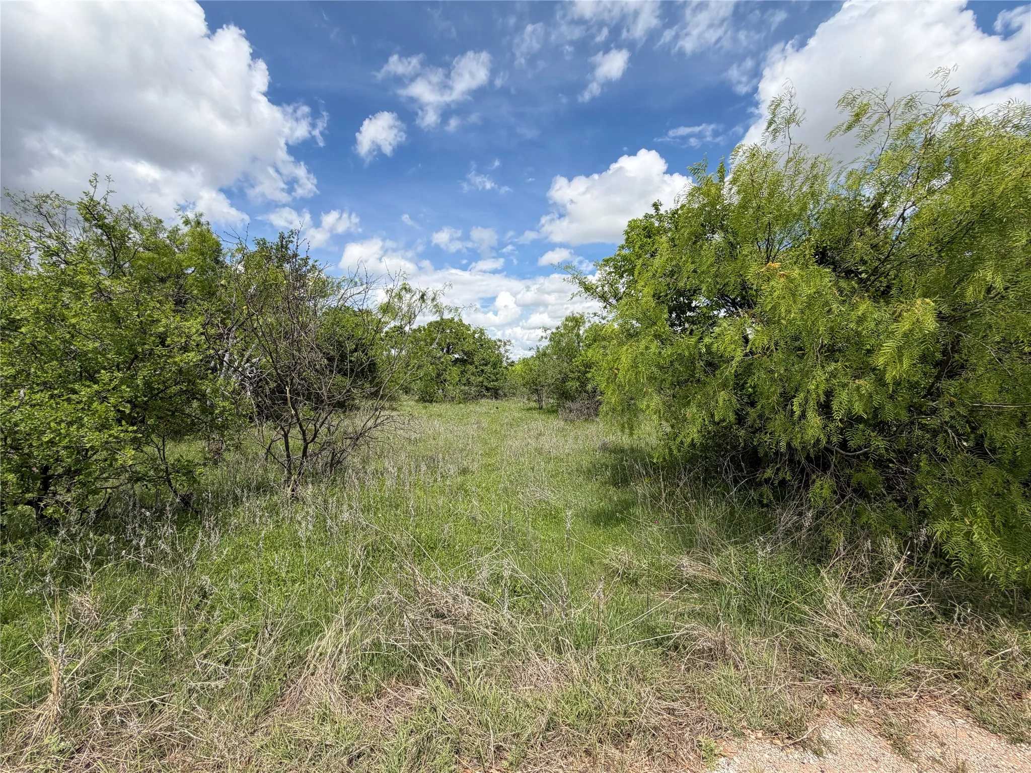Unimproved Land For Sale in Brown County , 000 County Road 149, Brownwood, Texas 76801, 0, 0, Garage spaces, 0 Sqft, built in 0, mls#21224372, Real Estate Agent in Brownwood, Homes For Sale in Brown county, Homes For Sale in Brownwood, Realtor in Brownwood Texas, Real Estate Brokerage Independent Realty Texas, Luminita Cordes Realtor