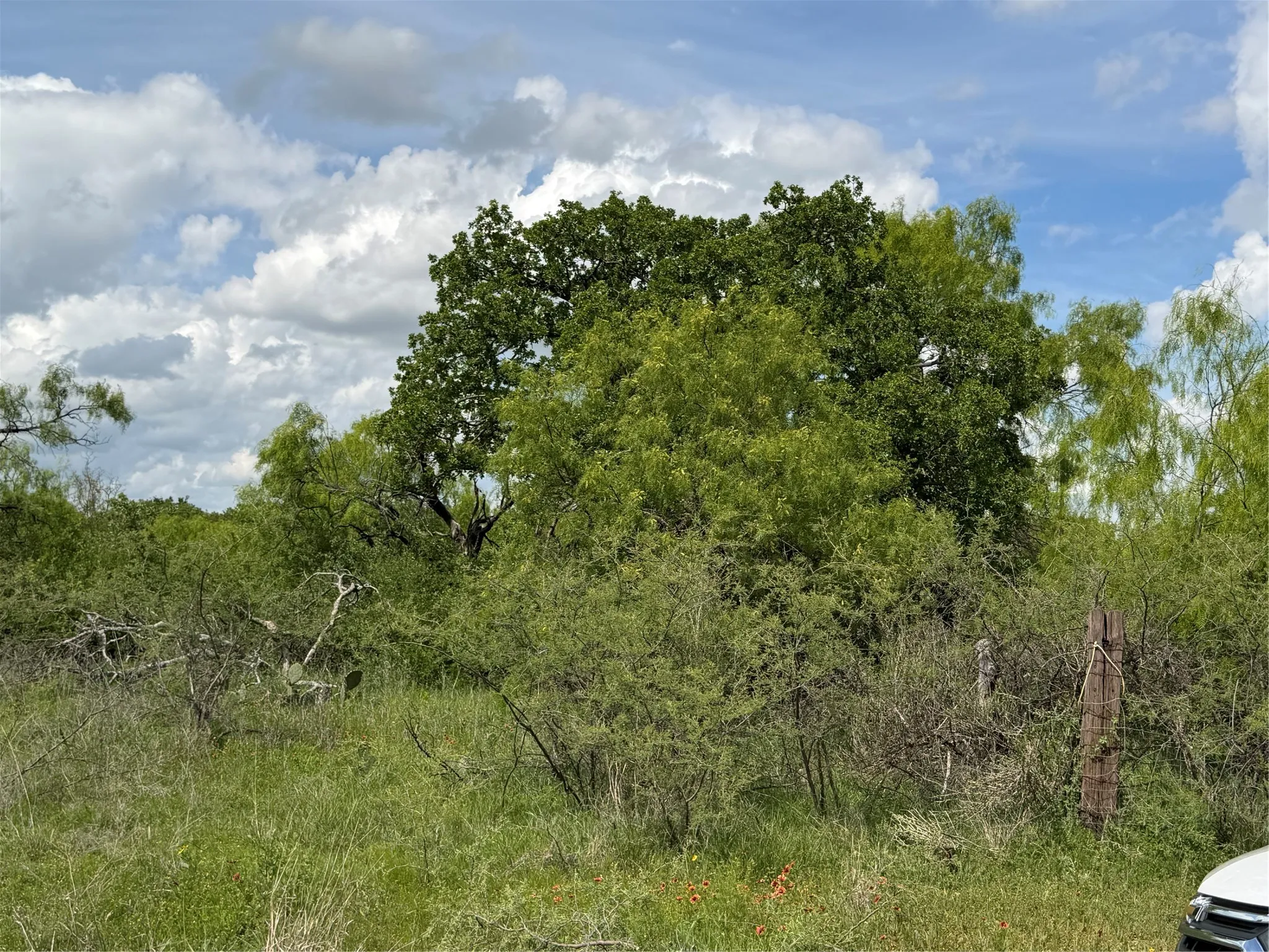 Unimproved Land For Sale in Brown County , 000 County Road 149, Brownwood, Texas 76801, 0, 0, Garage spaces, 0 Sqft, built in 0, mls#21224372, Real Estate Agent in Brownwood, Homes For Sale in Brown county, Homes For Sale in Brownwood, Realtor in Brownwood Texas, Real Estate Brokerage Independent Realty Texas, Luminita Cordes Realtor
