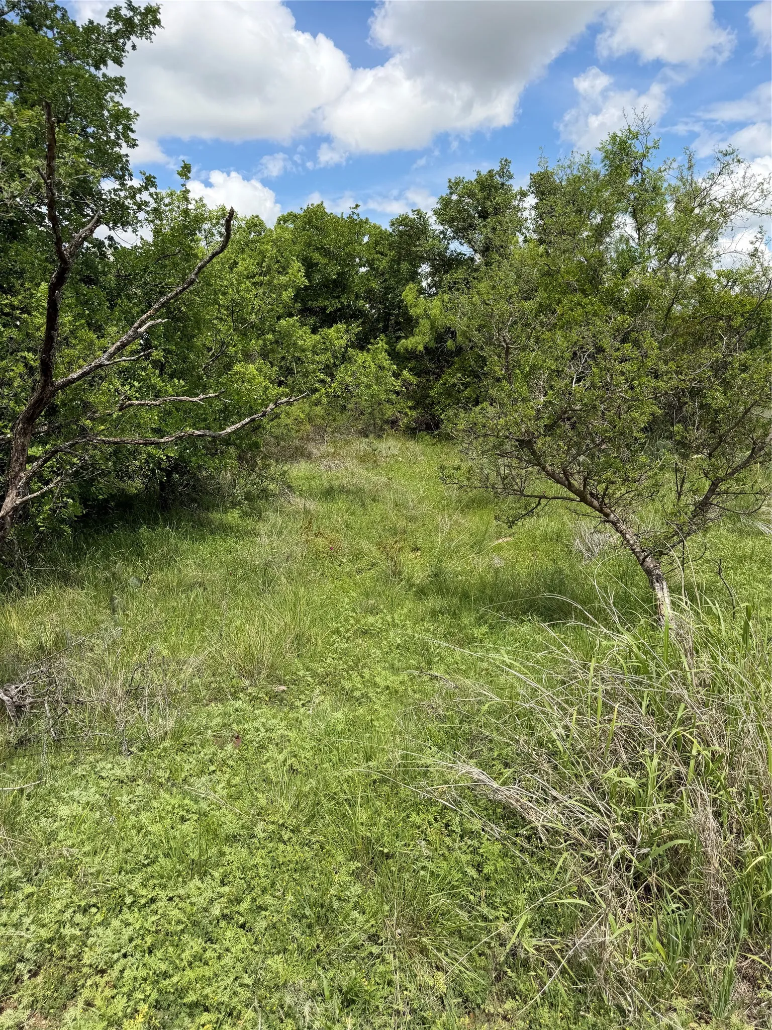 Unimproved Land For Sale in Brown County , 000 County Road 149, Brownwood, Texas 76801, 0, 0, Garage spaces, 0 Sqft, built in 0, mls#21224372, Real Estate Agent in Brownwood, Homes For Sale in Brown county, Homes For Sale in Brownwood, Realtor in Brownwood Texas, Real Estate Brokerage Independent Realty Texas, Luminita Cordes Realtor