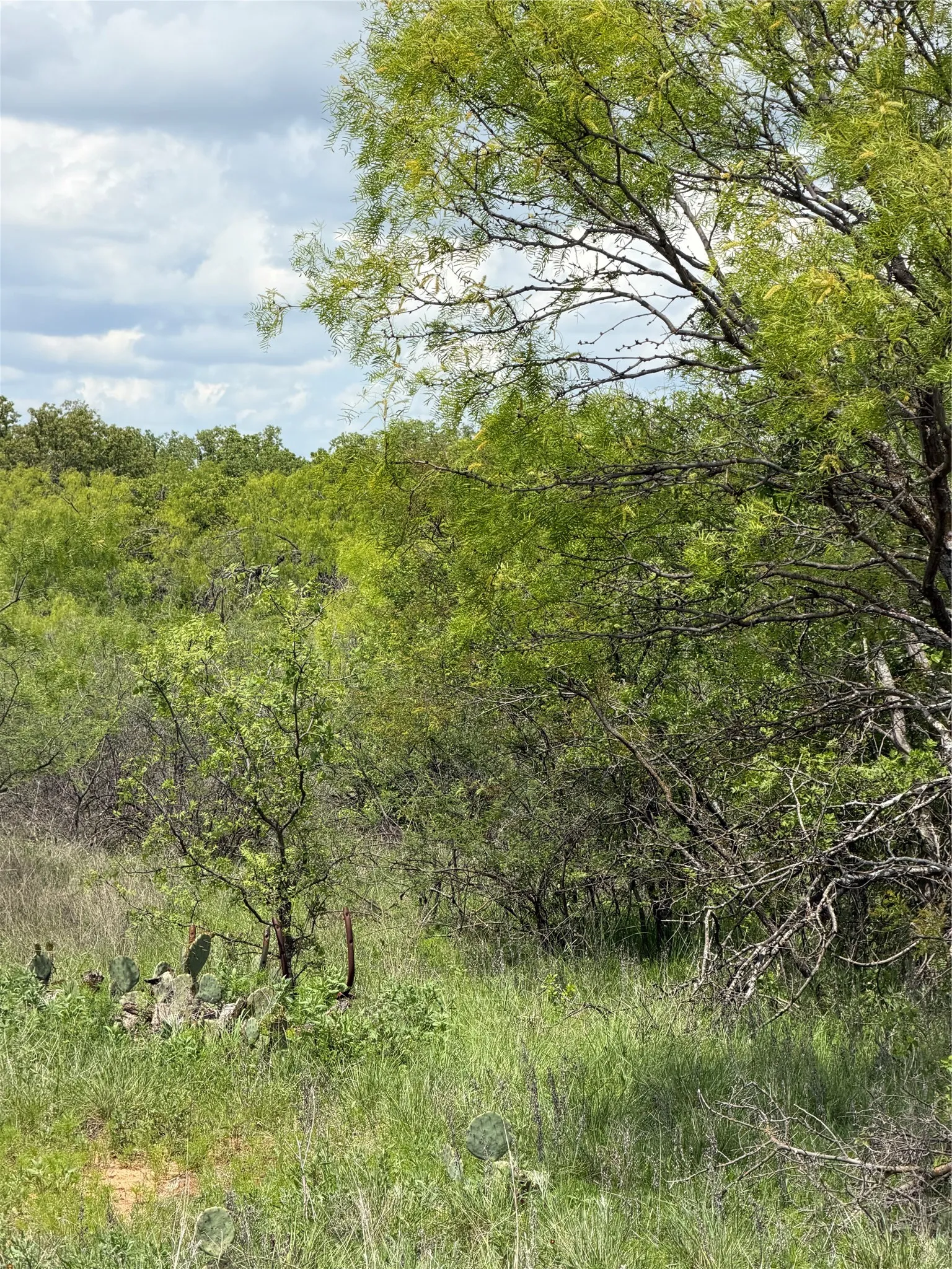 Unimproved Land For Sale in Brown County , 000 County Road 149, Brownwood, Texas 76801, 0, 0, Garage spaces, 0 Sqft, built in 0, mls#21224372, Real Estate Agent in Brownwood, Homes For Sale in Brown county, Homes For Sale in Brownwood, Realtor in Brownwood Texas, Real Estate Brokerage Independent Realty Texas, Luminita Cordes Realtor