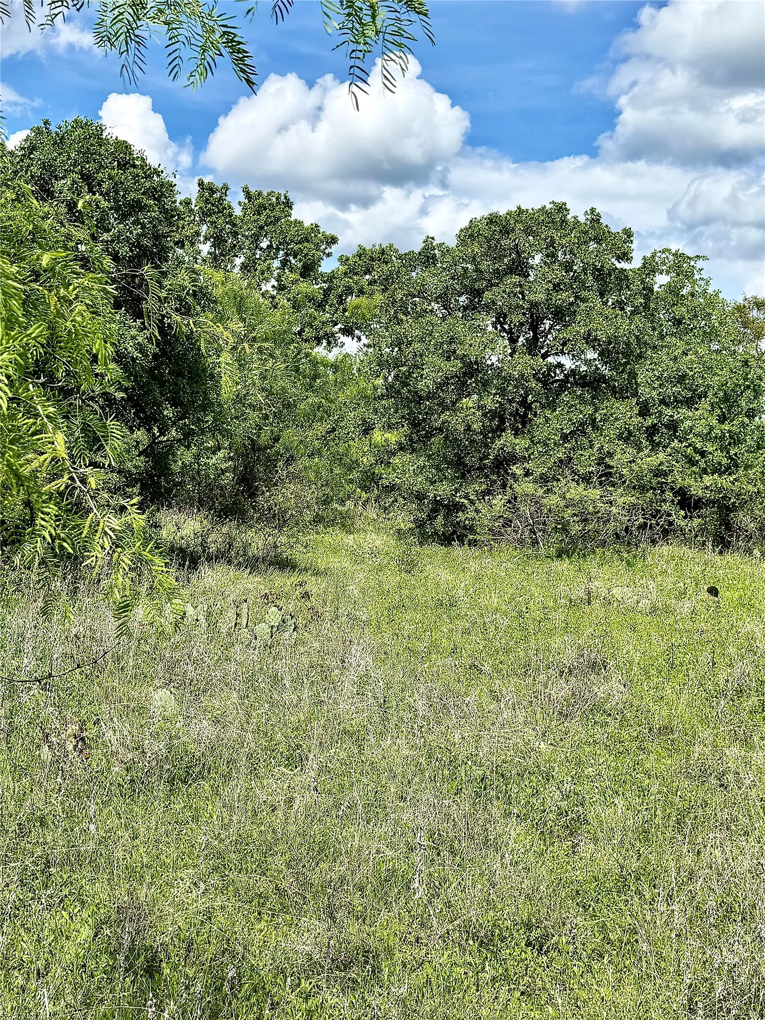 Unimproved Land For Sale in Brown County , 000 County Road 149, Brownwood, Texas 76801, 0, 0, Garage spaces, 0 Sqft, built in 0, mls#21224372, Real Estate Agent in Brownwood, Homes For Sale in Brown county, Homes For Sale in Brownwood, Realtor in Brownwood Texas, Real Estate Brokerage Independent Realty Texas, Luminita Cordes Realtor