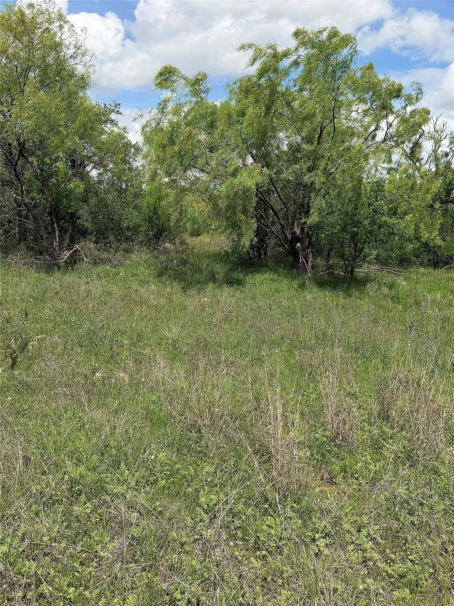 Unimproved Land For Sale in Brown County , 000 County Road 149, Brownwood, Texas 76801, 0, 0, Garage spaces, 0 Sqft, built in 0, mls#21224372, Real Estate Agent in Brownwood, Homes For Sale in Brown county, Homes For Sale in Brownwood, Realtor in Brownwood Texas, Real Estate Brokerage Independent Realty Texas, Luminita Cordes Realtor