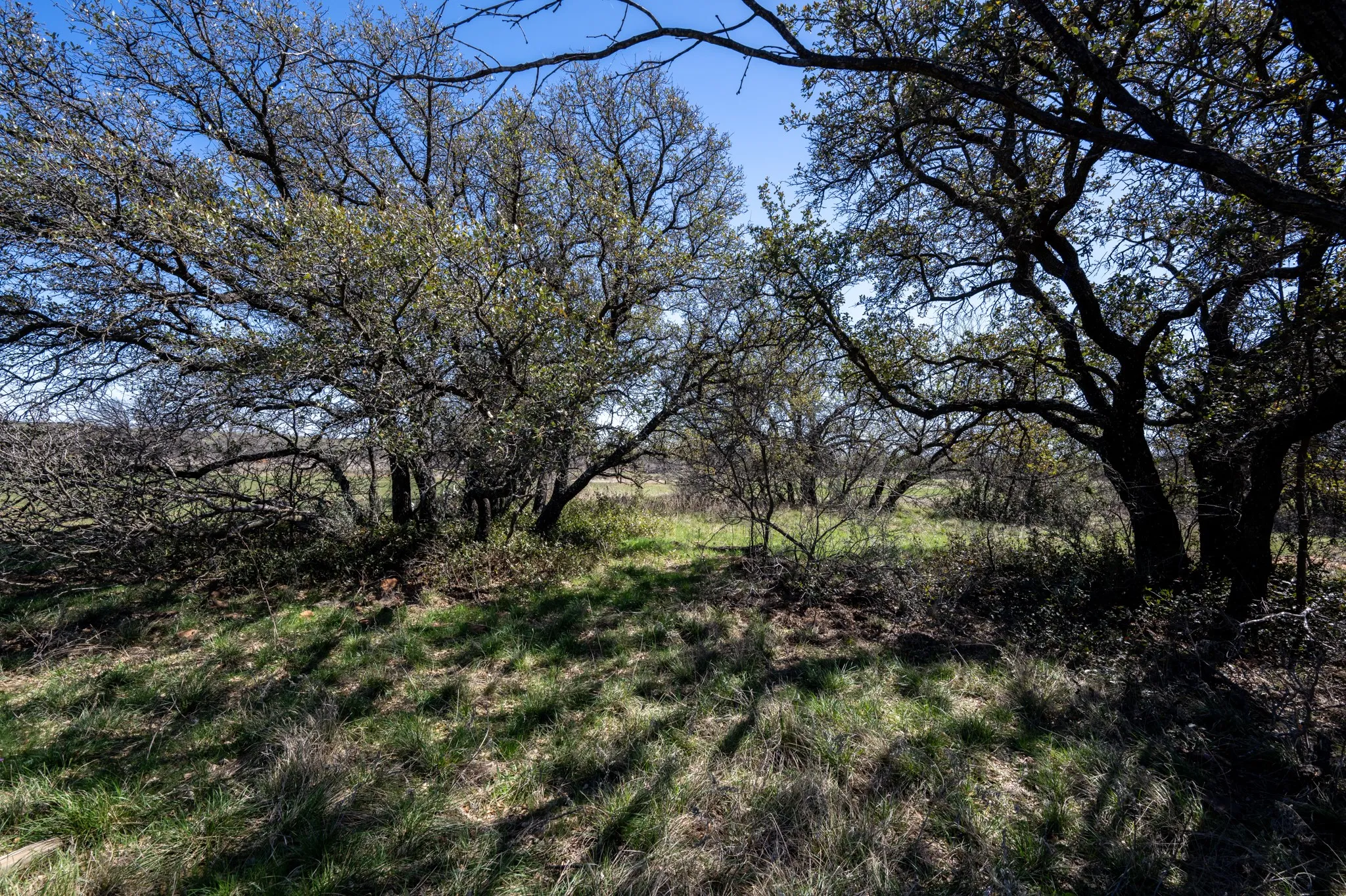 Ranch For Sale in Stephens County , tbd TBD County Road 291, Breckenridge, Texas 76464, 0, 0, Garage spaces, 0 Sqft, built in 0, mls#21226966, Real Estate Agent in Breckenridge, Homes For Sale in Stephens county, Homes For Sale in Breckenridge, Realtor in Breckenridge Texas, Real Estate Brokerage Independent Realty Texas, Luminita Cordes Realtor