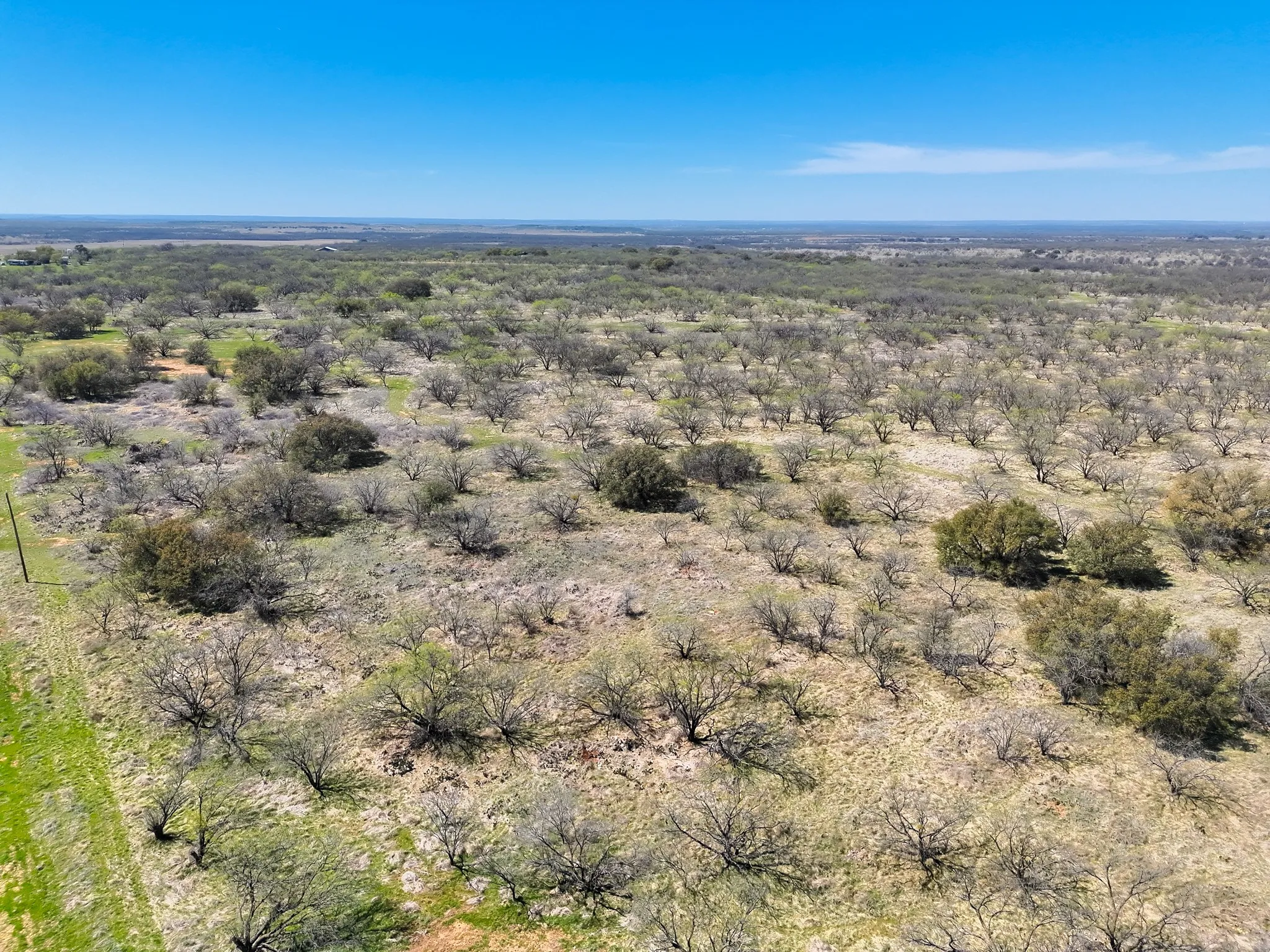 Ranch For Sale in Stephens County , tbd TBD County Road 291, Breckenridge, Texas 76464, 0, 0, Garage spaces, 0 Sqft, built in 0, mls#21226966, Real Estate Agent in Breckenridge, Homes For Sale in Stephens county, Homes For Sale in Breckenridge, Realtor in Breckenridge Texas, Real Estate Brokerage Independent Realty Texas, Luminita Cordes Realtor