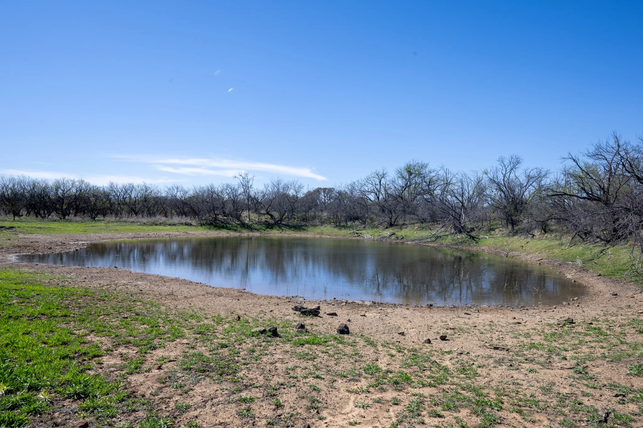 Ranch For Sale in Stephens County , tbd TBD County Road 291, Breckenridge, Texas 76464, 0, 0, Garage spaces, 0 Sqft, built in 0, mls#21226966, Real Estate Agent in Breckenridge, Homes For Sale in Stephens county, Homes For Sale in Breckenridge, Realtor in Breckenridge Texas, Real Estate Brokerage Independent Realty Texas, Luminita Cordes Realtor