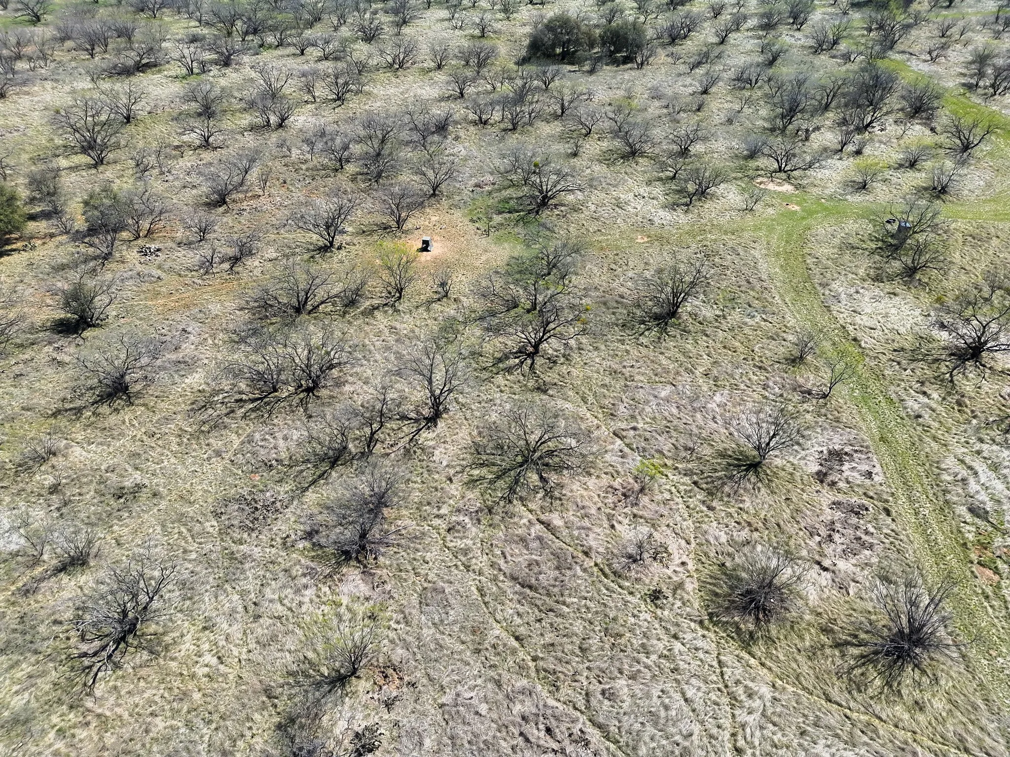 Ranch For Sale in Stephens County , tbd TBD County Road 291, Breckenridge, Texas 76464, 0, 0, Garage spaces, 0 Sqft, built in 0, mls#21226966, Real Estate Agent in Breckenridge, Homes For Sale in Stephens county, Homes For Sale in Breckenridge, Realtor in Breckenridge Texas, Real Estate Brokerage Independent Realty Texas, Luminita Cordes Realtor