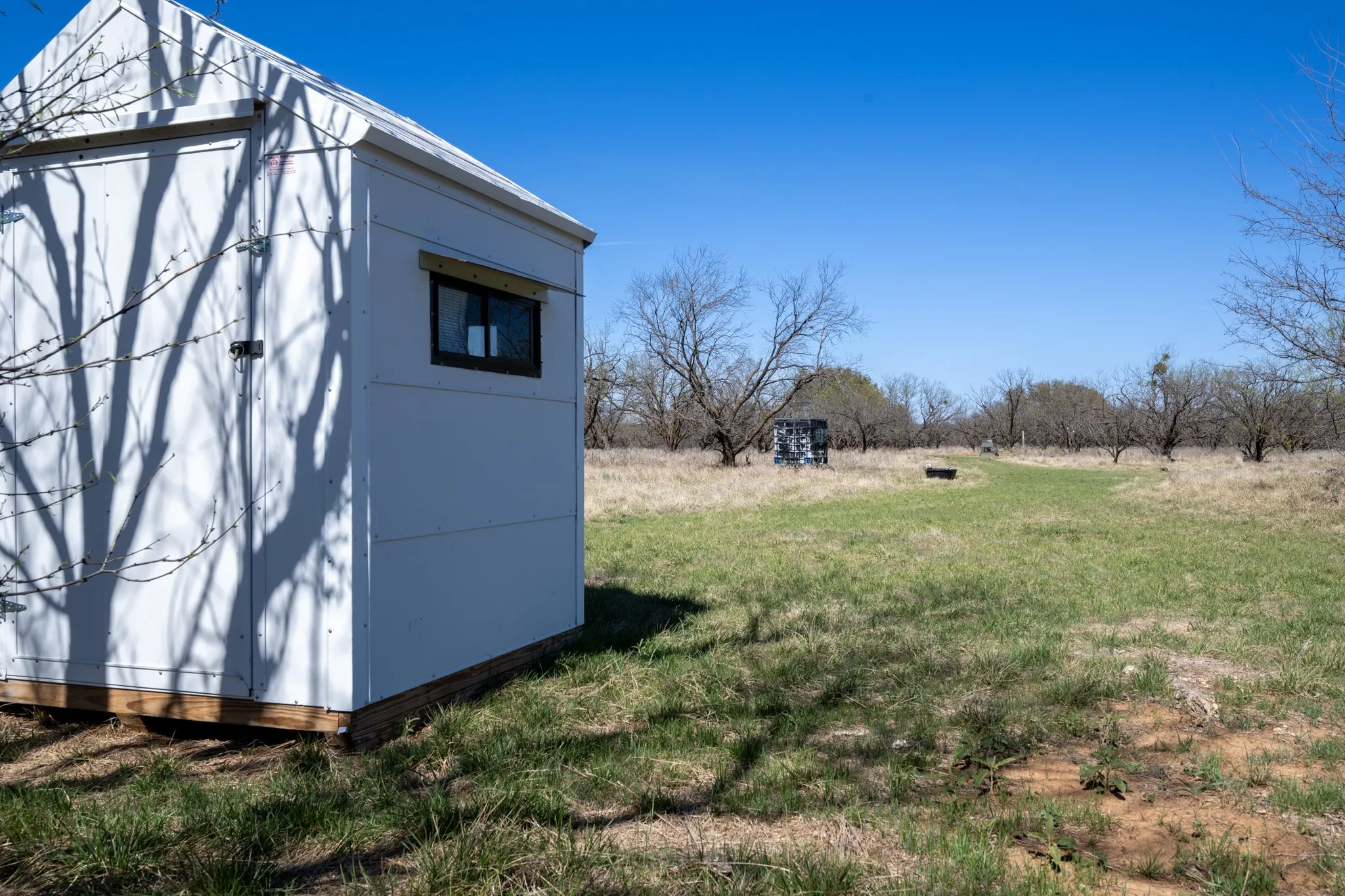 Ranch For Sale in Stephens County , tbd TBD County Road 291, Breckenridge, Texas 76464, 0, 0, Garage spaces, 0 Sqft, built in 0, mls#21226966, Real Estate Agent in Breckenridge, Homes For Sale in Stephens county, Homes For Sale in Breckenridge, Realtor in Breckenridge Texas, Real Estate Brokerage Independent Realty Texas, Luminita Cordes Realtor