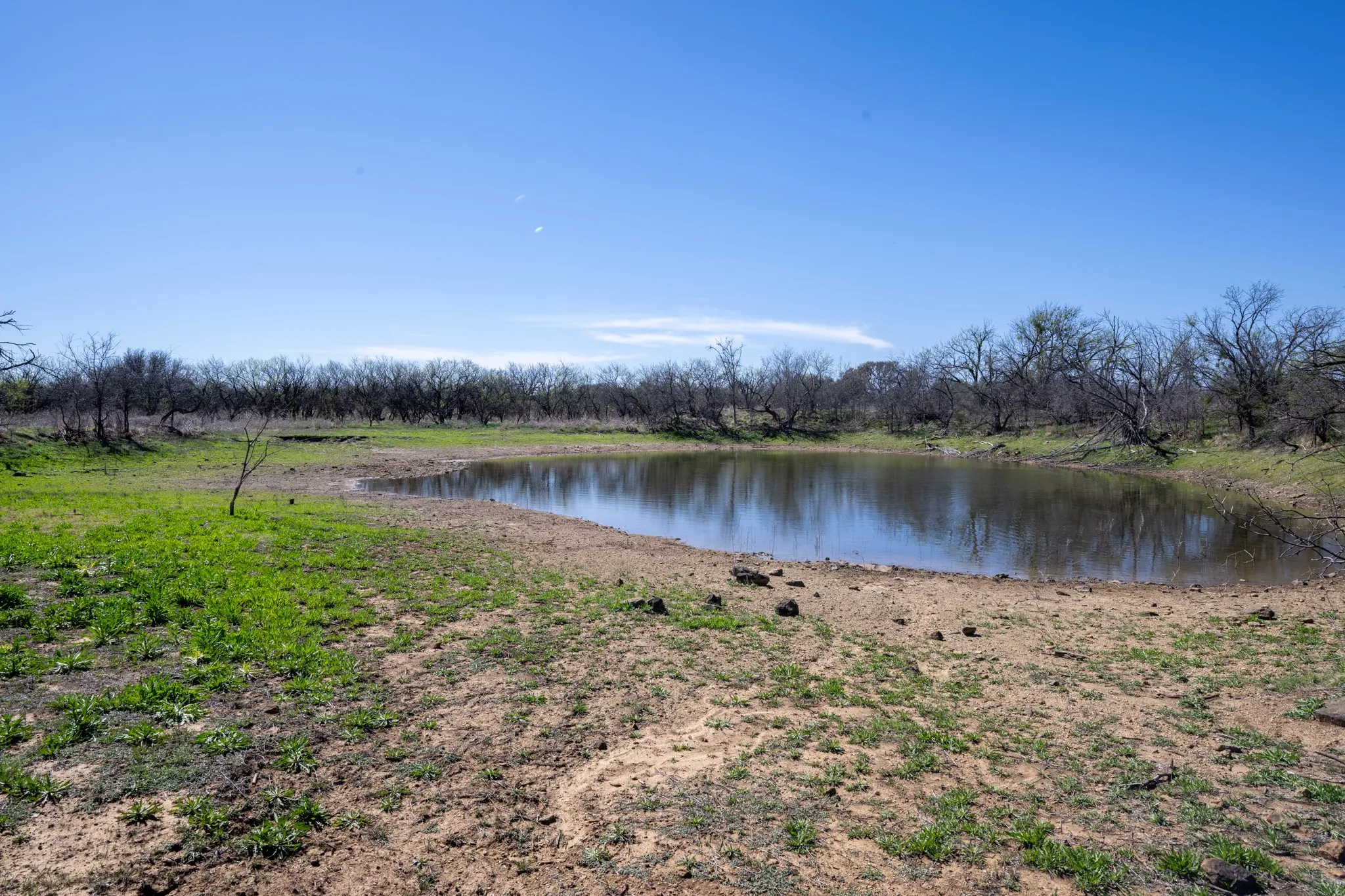 Ranch For Sale in Stephens County , tbd TBD County Road 291, Breckenridge, Texas 76464, 0, 0, Garage spaces, 0 Sqft, built in 0, mls#21226966, Real Estate Agent in Breckenridge, Homes For Sale in Stephens county, Homes For Sale in Breckenridge, Realtor in Breckenridge Texas, Real Estate Brokerage Independent Realty Texas, Luminita Cordes Realtor
