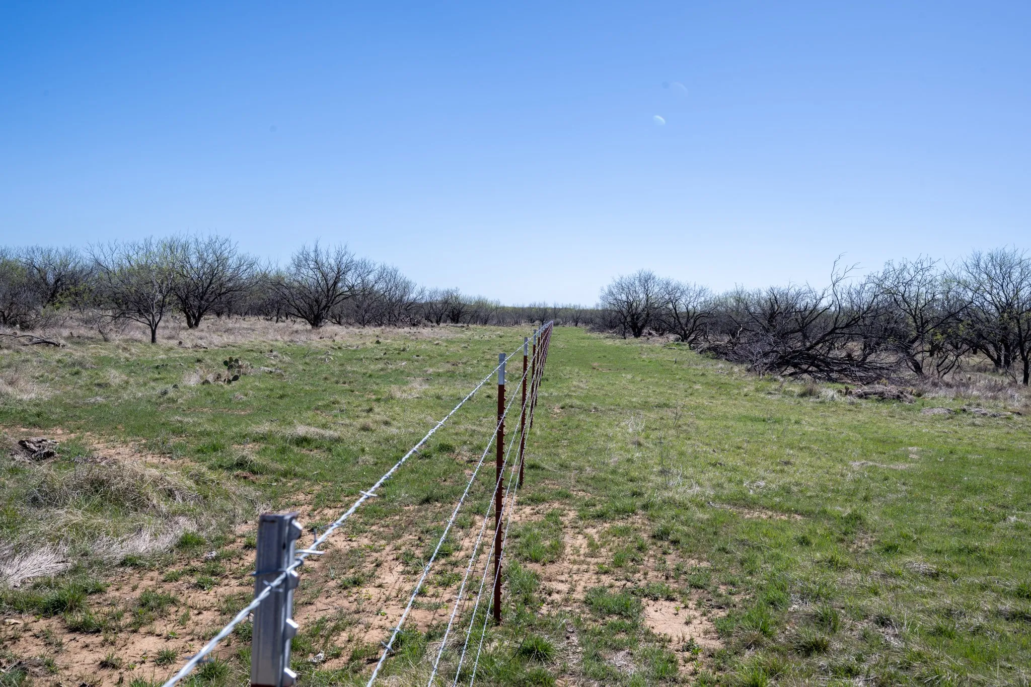 Ranch For Sale in Stephens County , tbd TBD County Road 291, Breckenridge, Texas 76464, 0, 0, Garage spaces, 0 Sqft, built in 0, mls#21226966, Real Estate Agent in Breckenridge, Homes For Sale in Stephens county, Homes For Sale in Breckenridge, Realtor in Breckenridge Texas, Real Estate Brokerage Independent Realty Texas, Luminita Cordes Realtor