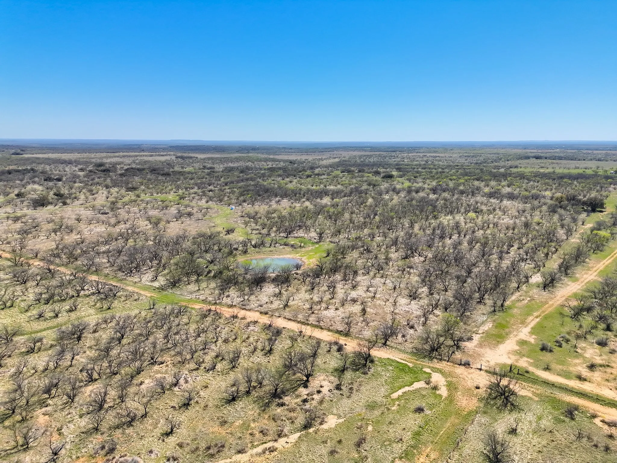 Ranch For Sale in Stephens County , tbd TBD County Rd 291, Breckenridge, Texas 76464, 0, 0, Garage spaces, 0 Sqft, built in 0, mls#21228638, Real Estate Agent in Breckenridge, Homes For Sale in Stephens county, Homes For Sale in Breckenridge, Realtor in Breckenridge Texas, Real Estate Brokerage Independent Realty Texas, Luminita Cordes Realtor