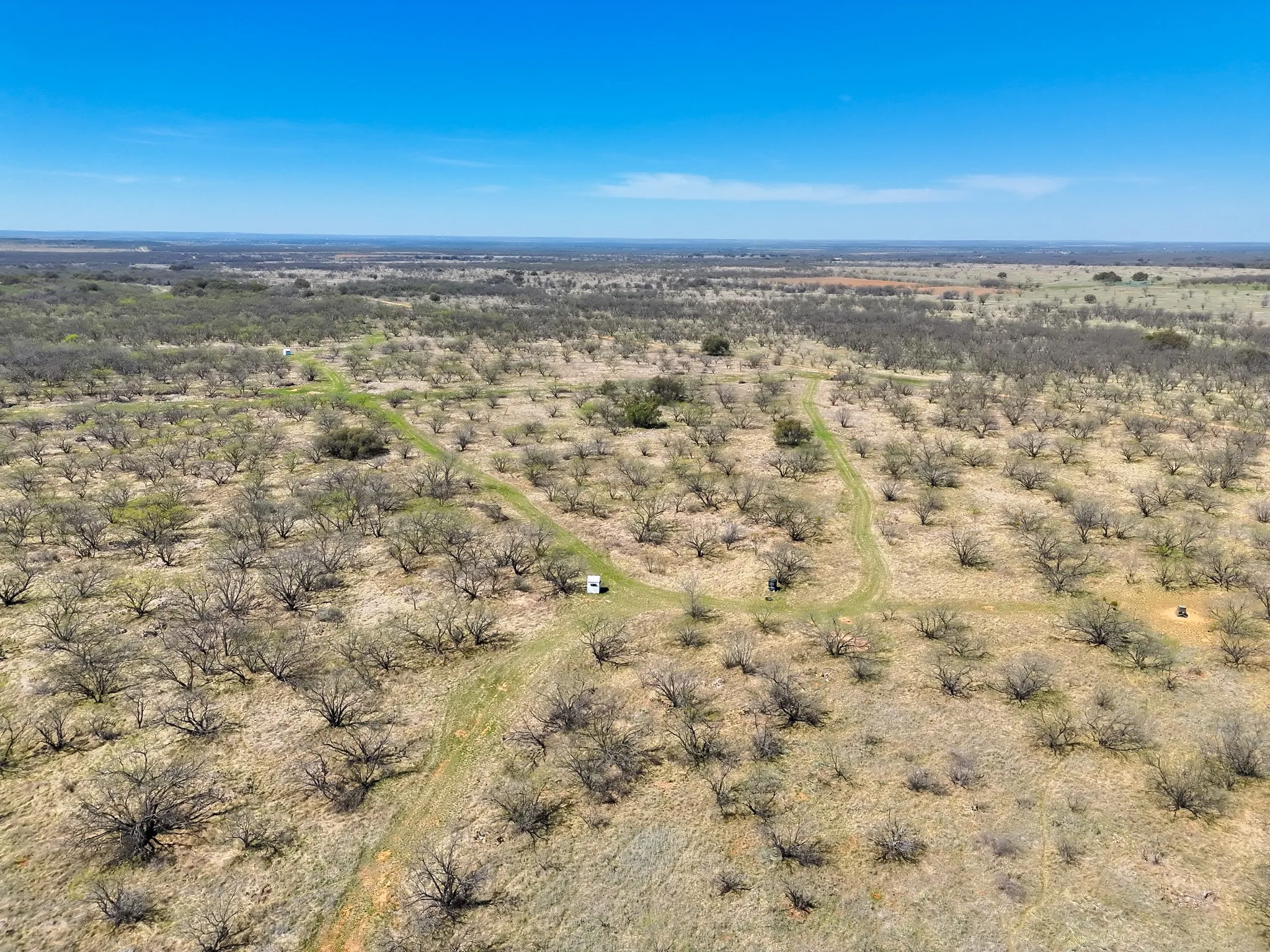 Ranch For Sale in Stephens County , tbd TBD County Rd 291, Breckenridge, Texas 76464, 0, 0, Garage spaces, 0 Sqft, built in 0, mls#21228638, Real Estate Agent in Breckenridge, Homes For Sale in Stephens county, Homes For Sale in Breckenridge, Realtor in Breckenridge Texas, Real Estate Brokerage Independent Realty Texas, Luminita Cordes Realtor