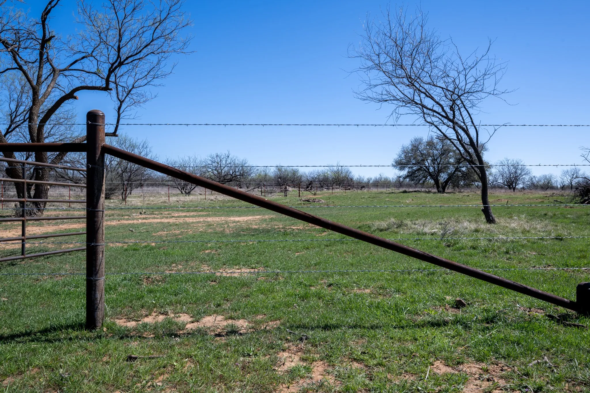Ranch For Sale in Stephens County , tbd TBD Cnty Rd 291, Breckenridge, Texas 76464, 0, 0, Garage spaces, 0 Sqft, built in 0, Price $314,500, mls#21228694, Real Estate Agent in Breckenridge, Homes For Sale in Stephens county, Homes For Sale in Breckenridge, Realtor in Breckenridge Texas, Real Estate Brokerage Independent Realty Texas, Luminita Cordes Realtor