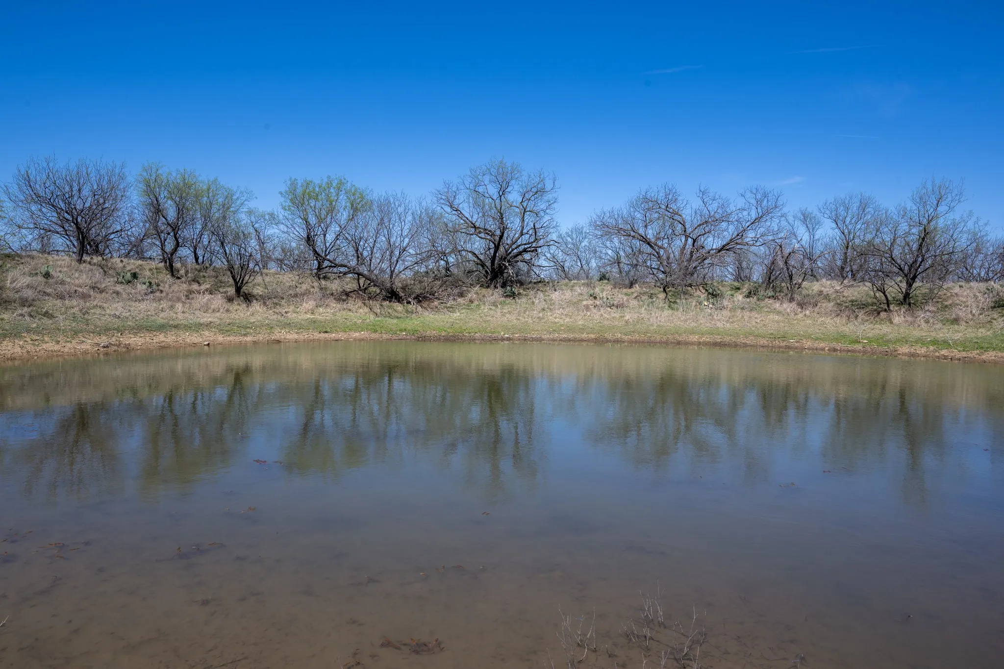 Ranch For Sale in Stephens County , tbd TBD Cnty Rd 291, Breckenridge, Texas 76464, 0, 0, Garage spaces, 0 Sqft, built in 0, Price $314,500, mls#21228694, Real Estate Agent in Breckenridge, Homes For Sale in Stephens county, Homes For Sale in Breckenridge, Realtor in Breckenridge Texas, Real Estate Brokerage Independent Realty Texas, Luminita Cordes Realtor