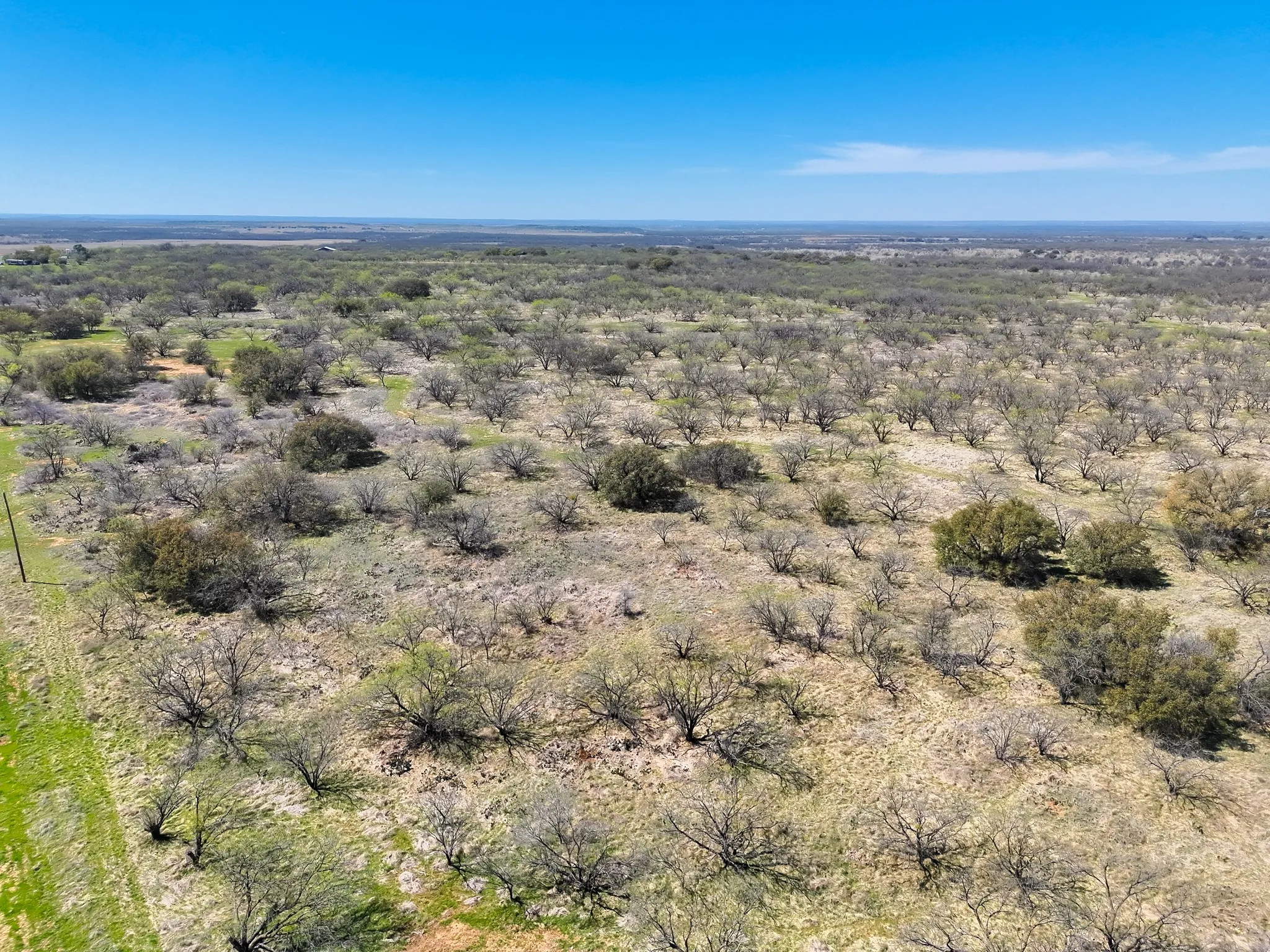 Ranch For Sale in Stephens County , tbd TBD Cnty Rd 291, Breckenridge, Texas 76464, 0, 0, Garage spaces, 0 Sqft, built in 0, Price $314,500, mls#21228694, Real Estate Agent in Breckenridge, Homes For Sale in Stephens county, Homes For Sale in Breckenridge, Realtor in Breckenridge Texas, Real Estate Brokerage Independent Realty Texas, Luminita Cordes Realtor