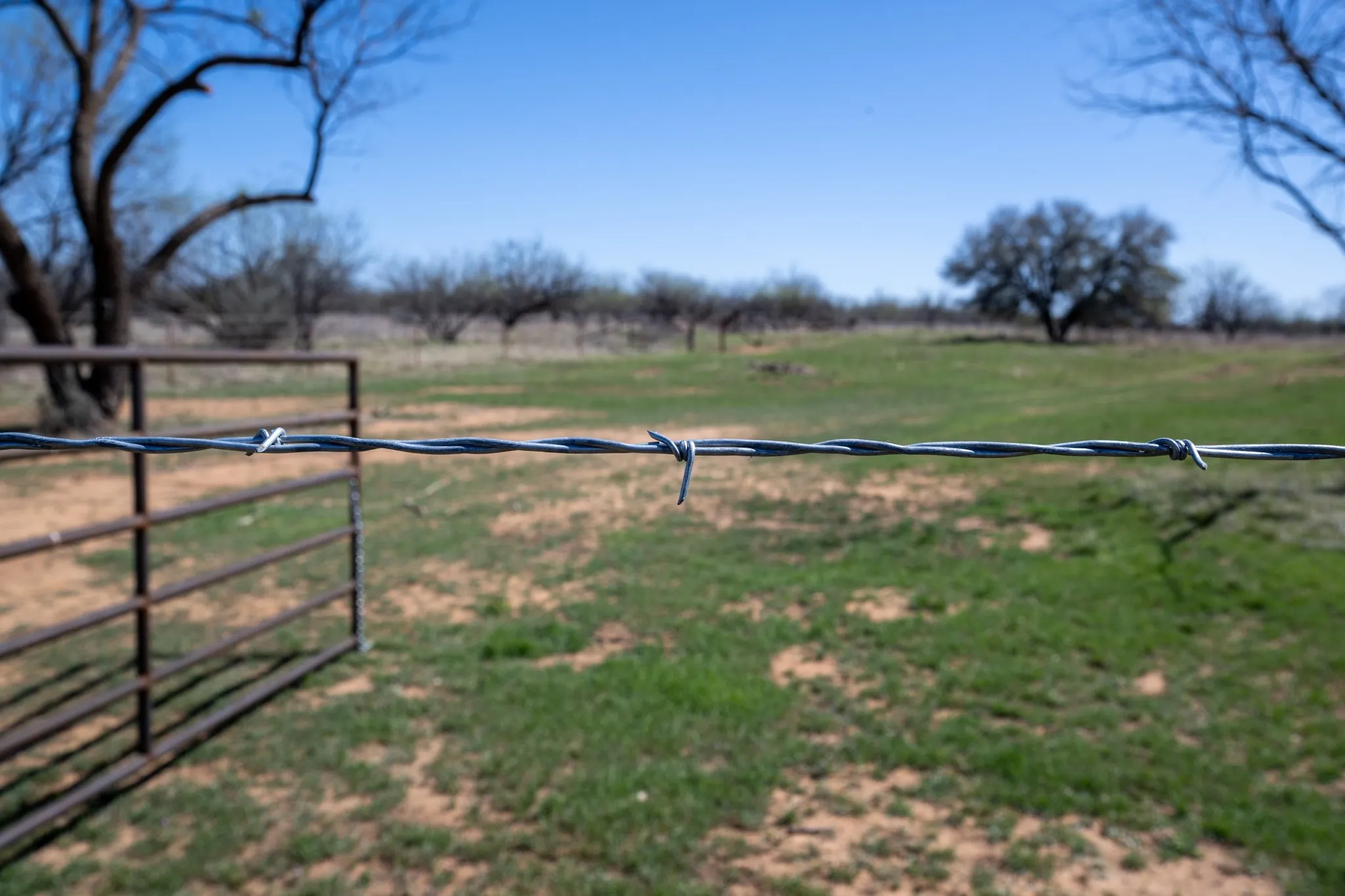 Ranch For Sale in Stephens County , tbd TBD Cnty Rd 291, Breckenridge, Texas 76464, 0, 0, Garage spaces, 0 Sqft, built in 0, Price $314,500, mls#21228694, Real Estate Agent in Breckenridge, Homes For Sale in Stephens county, Homes For Sale in Breckenridge, Realtor in Breckenridge Texas, Real Estate Brokerage Independent Realty Texas, Luminita Cordes Realtor