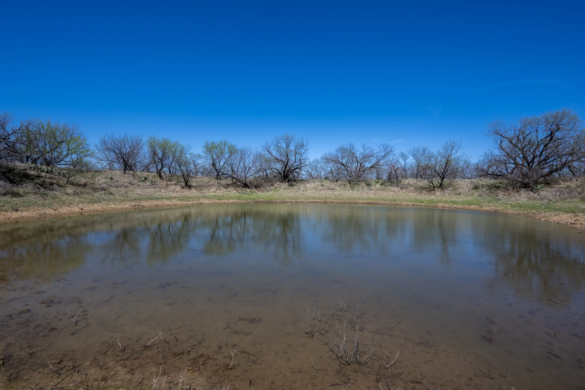 Ranch For Sale in Stephens County , tbd TBD Cnty Rd 291, Breckenridge, Texas 76464, 0, 0, Garage spaces, 0 Sqft, built in 0, Price $314,500, mls#21228694, Real Estate Agent in Breckenridge, Homes For Sale in Stephens county, Homes For Sale in Breckenridge, Realtor in Breckenridge Texas, Real Estate Brokerage Independent Realty Texas, Luminita Cordes Realtor