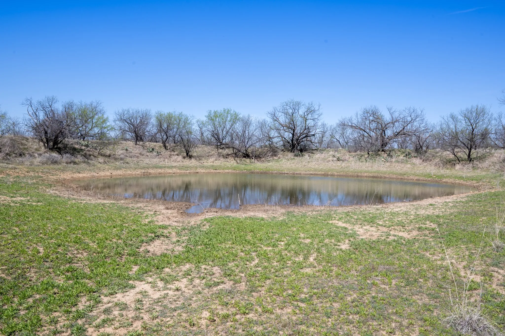 Ranch For Sale in Stephens County , tbd TBD Cnty Rd 291, Breckenridge, Texas 76464, 0, 0, Garage spaces, 0 Sqft, built in 0, Price $314,500, mls#21228694, Real Estate Agent in Breckenridge, Homes For Sale in Stephens county, Homes For Sale in Breckenridge, Realtor in Breckenridge Texas, Real Estate Brokerage Independent Realty Texas, Luminita Cordes Realtor