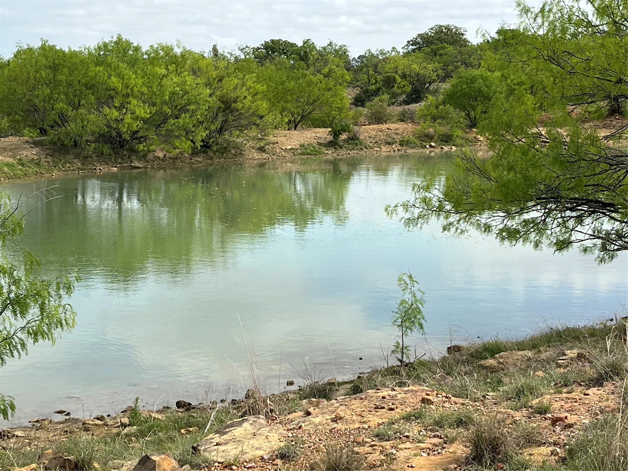 pond