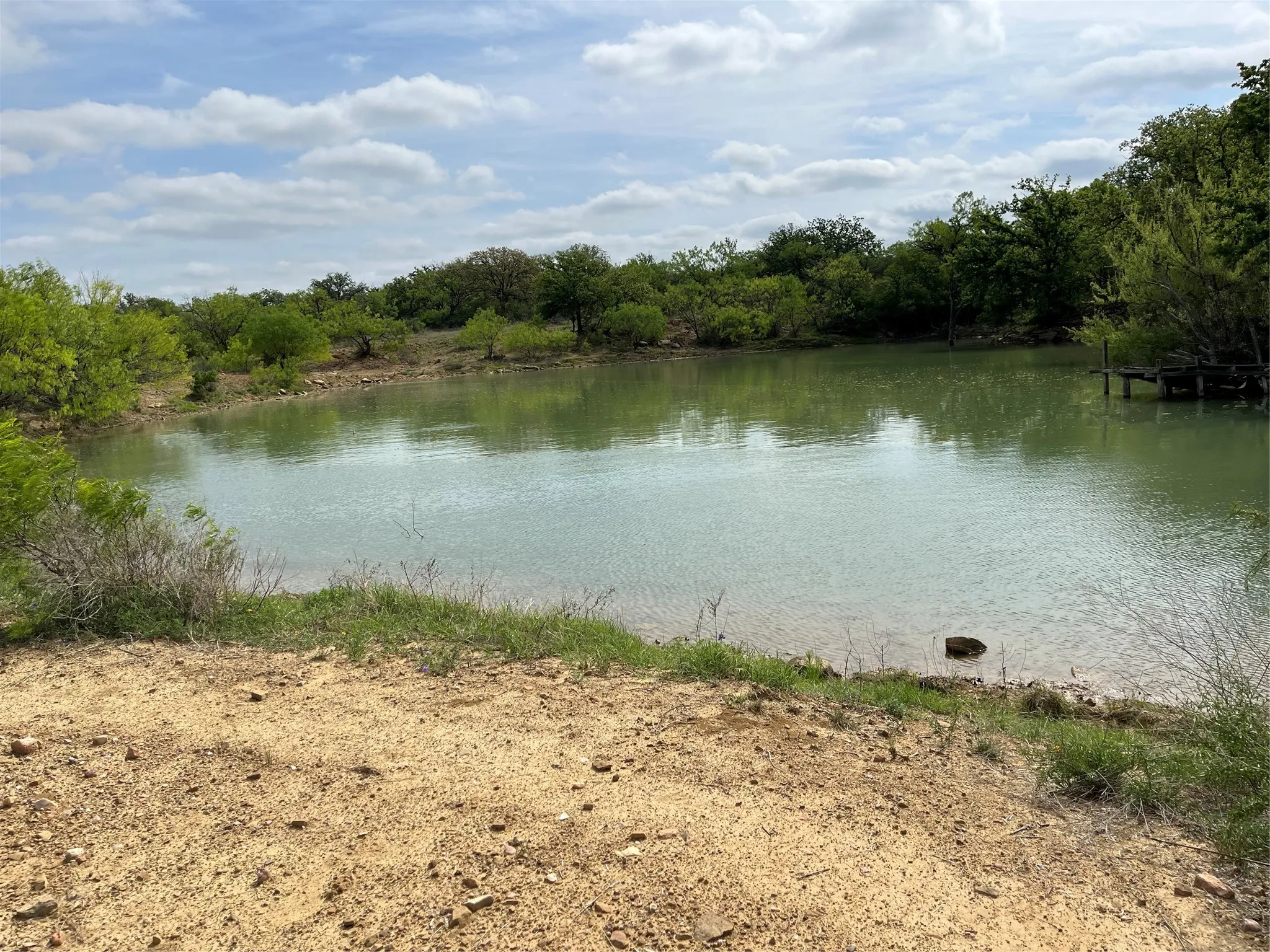 pond
