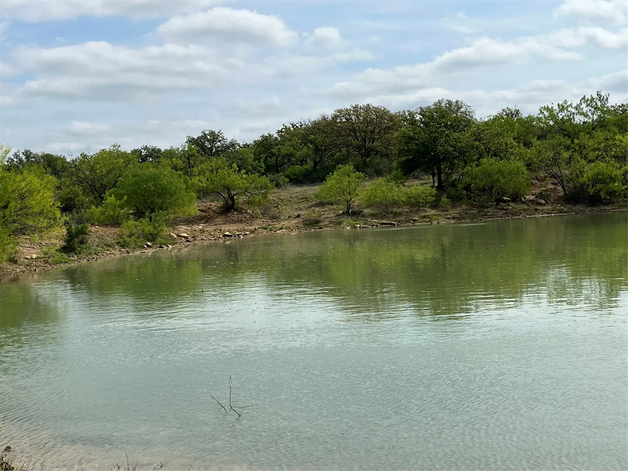 pond