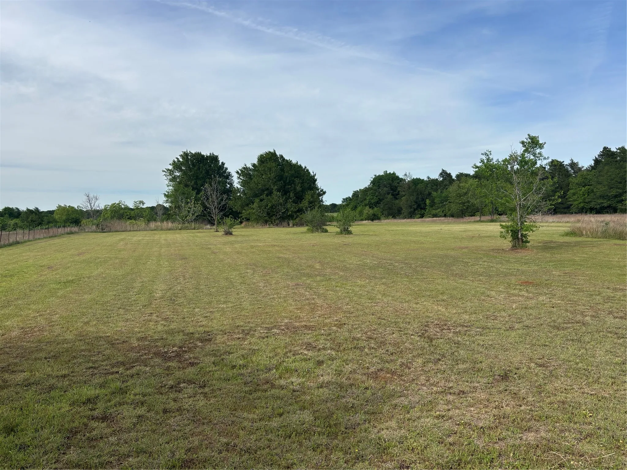 View of green lawn