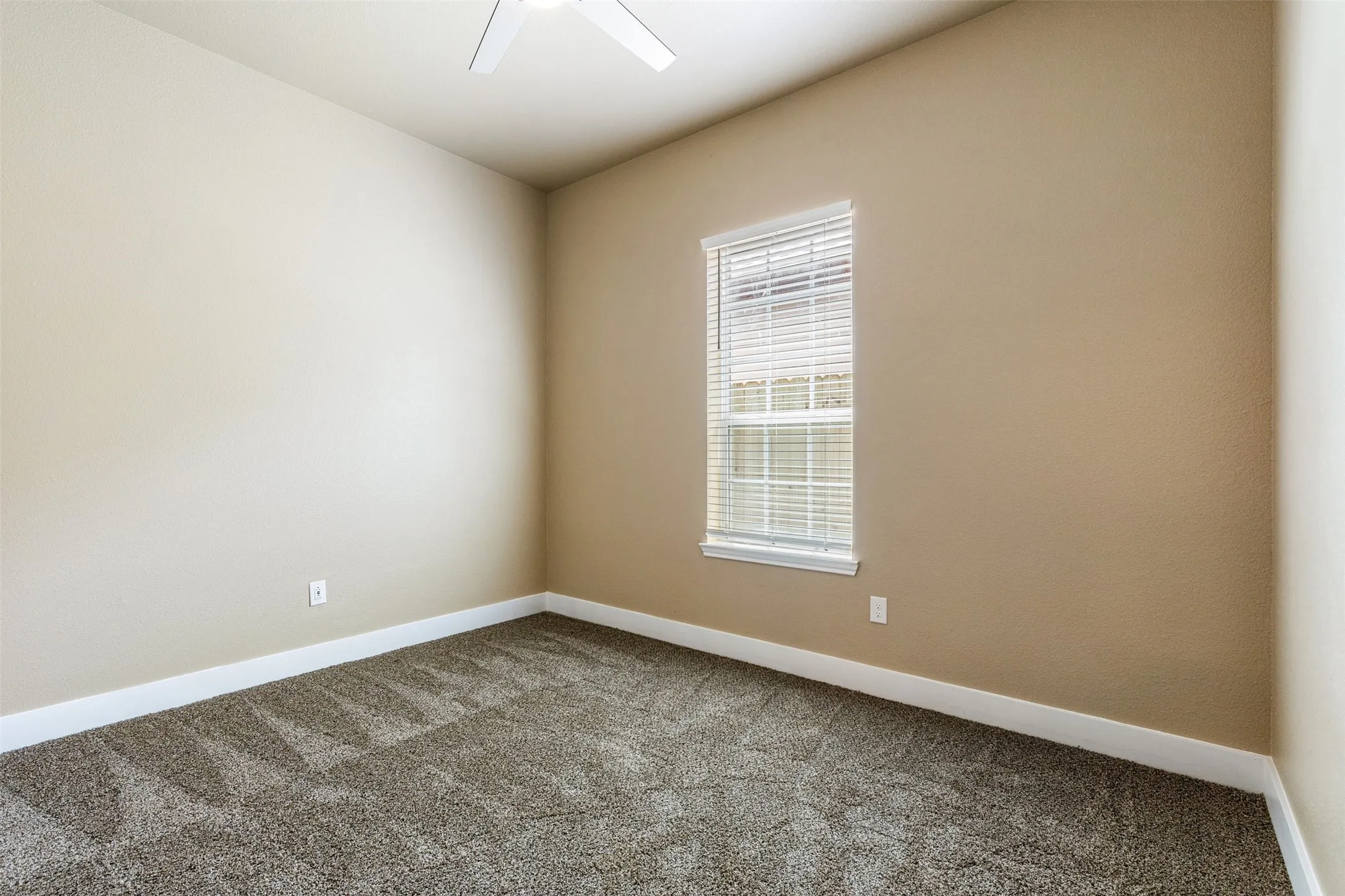 Window coverings included