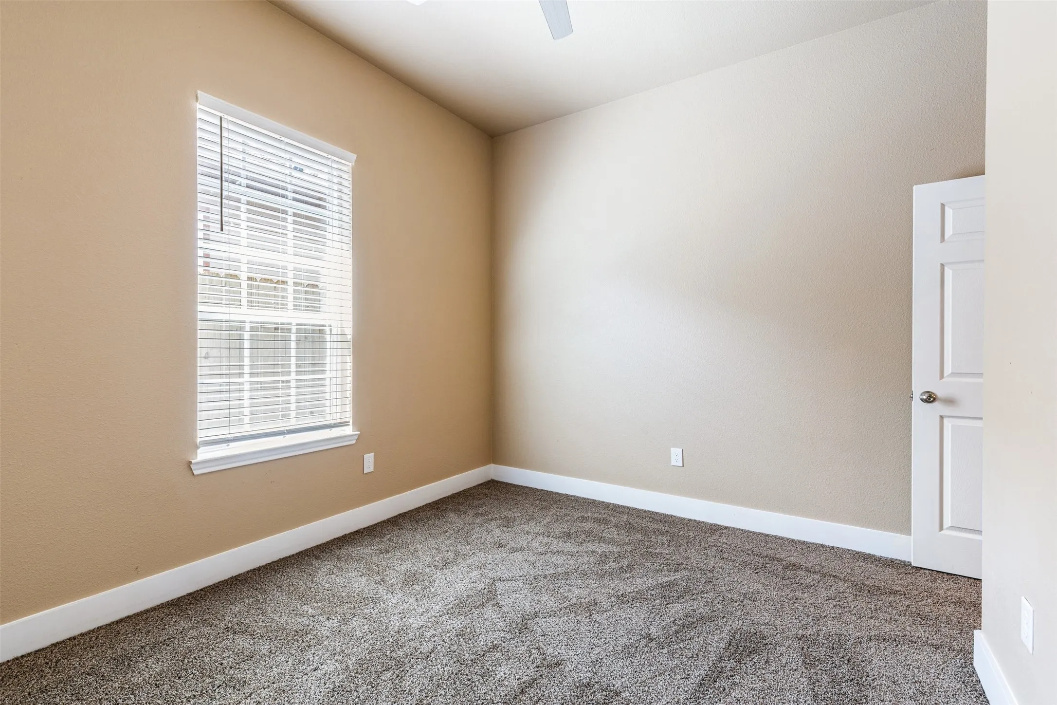 Carpet in the bedrooms