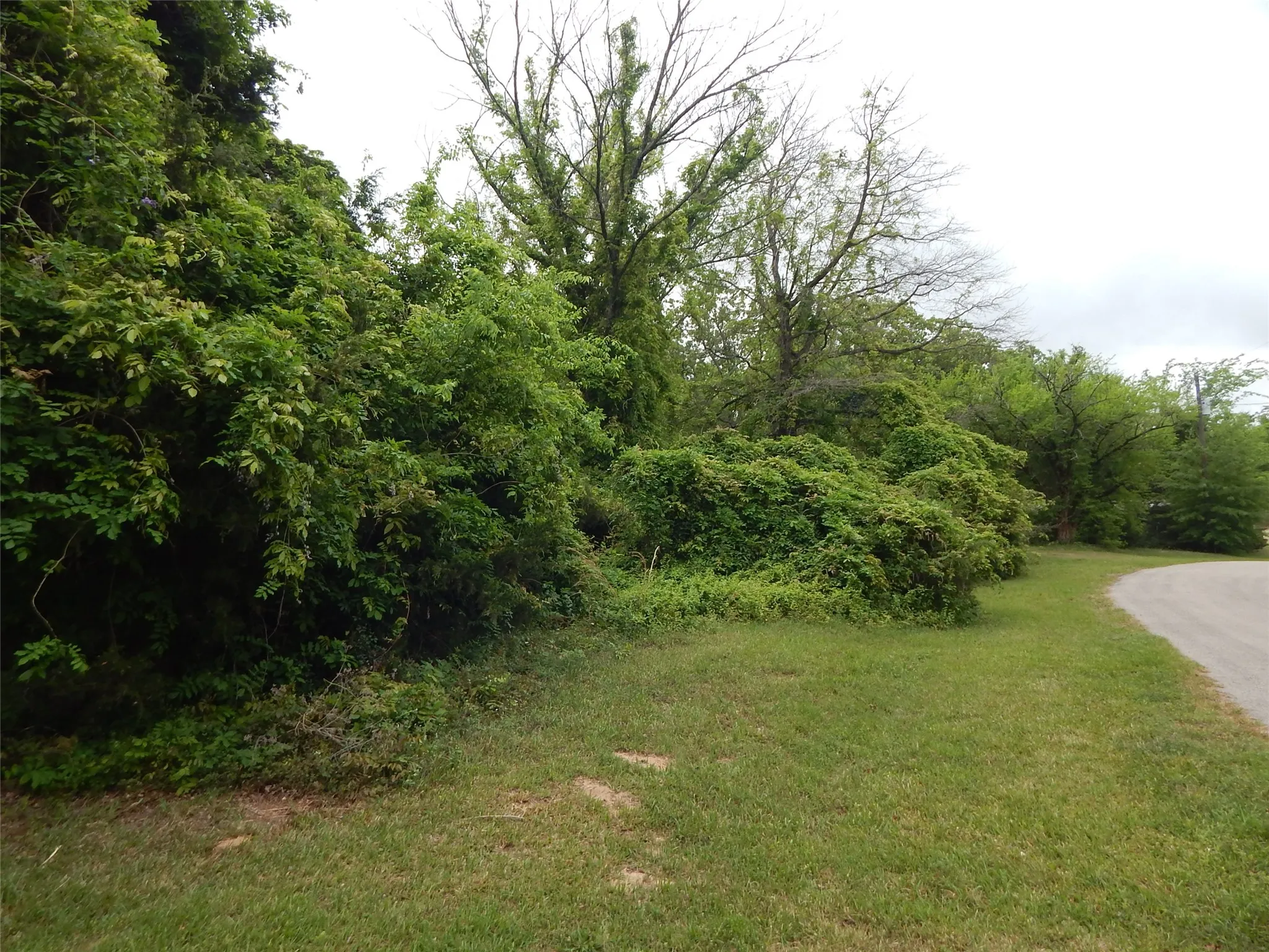 Unimproved Land For Sale in Wood County , 146 CR 1215, Quitman, Texas 75783, 0, 0, Garage spaces, 0 Sqft, built in 0, mls#21229225, Real Estate Agent in Quitman, Homes For Sale in Wood county, Homes For Sale in Quitman, Realtor in Quitman Texas, Real Estate Brokerage Independent Realty Texas, Luminita Cordes Realtor