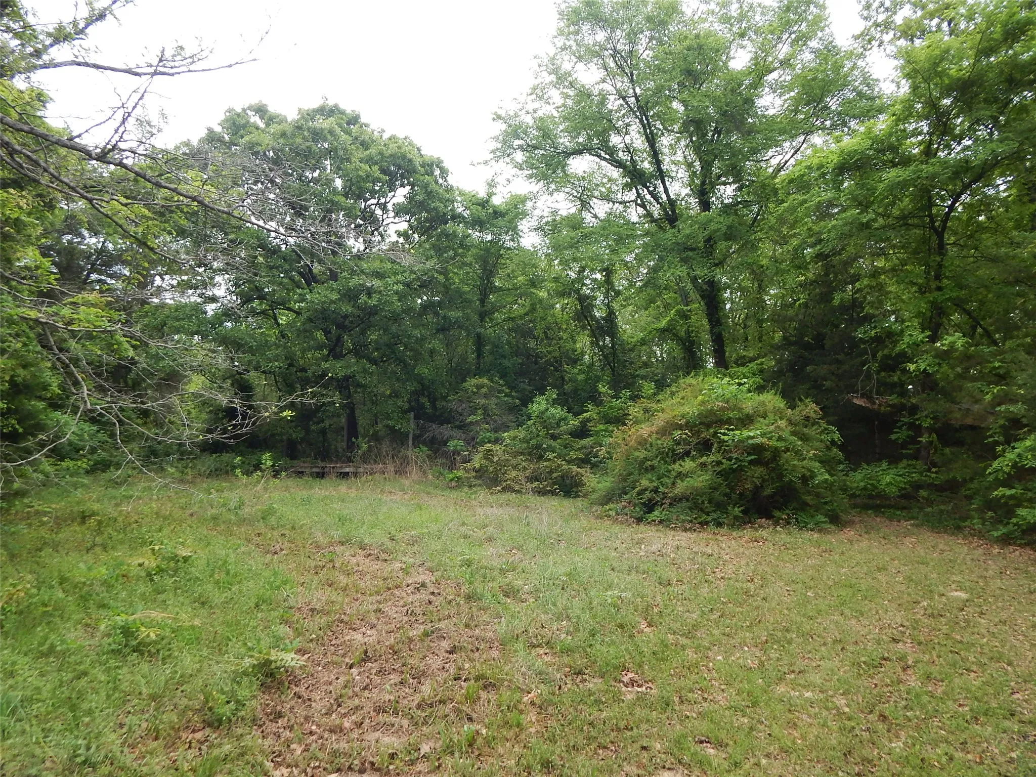 Unimproved Land For Sale in Wood County , 146 CR 1215, Quitman, Texas 75783, 0, 0, Garage spaces, 0 Sqft, built in 0, mls#21229225, Real Estate Agent in Quitman, Homes For Sale in Wood county, Homes For Sale in Quitman, Realtor in Quitman Texas, Real Estate Brokerage Independent Realty Texas, Luminita Cordes Realtor