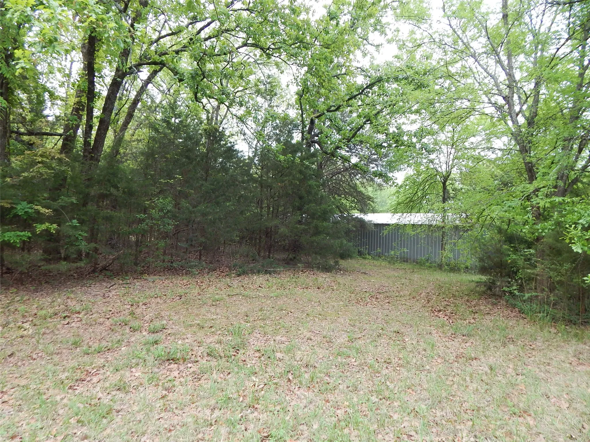 Unimproved Land For Sale in Wood County , 146 CR 1215, Quitman, Texas 75783, 0, 0, Garage spaces, 0 Sqft, built in 0, mls#21229225, Real Estate Agent in Quitman, Homes For Sale in Wood county, Homes For Sale in Quitman, Realtor in Quitman Texas, Real Estate Brokerage Independent Realty Texas, Luminita Cordes Realtor