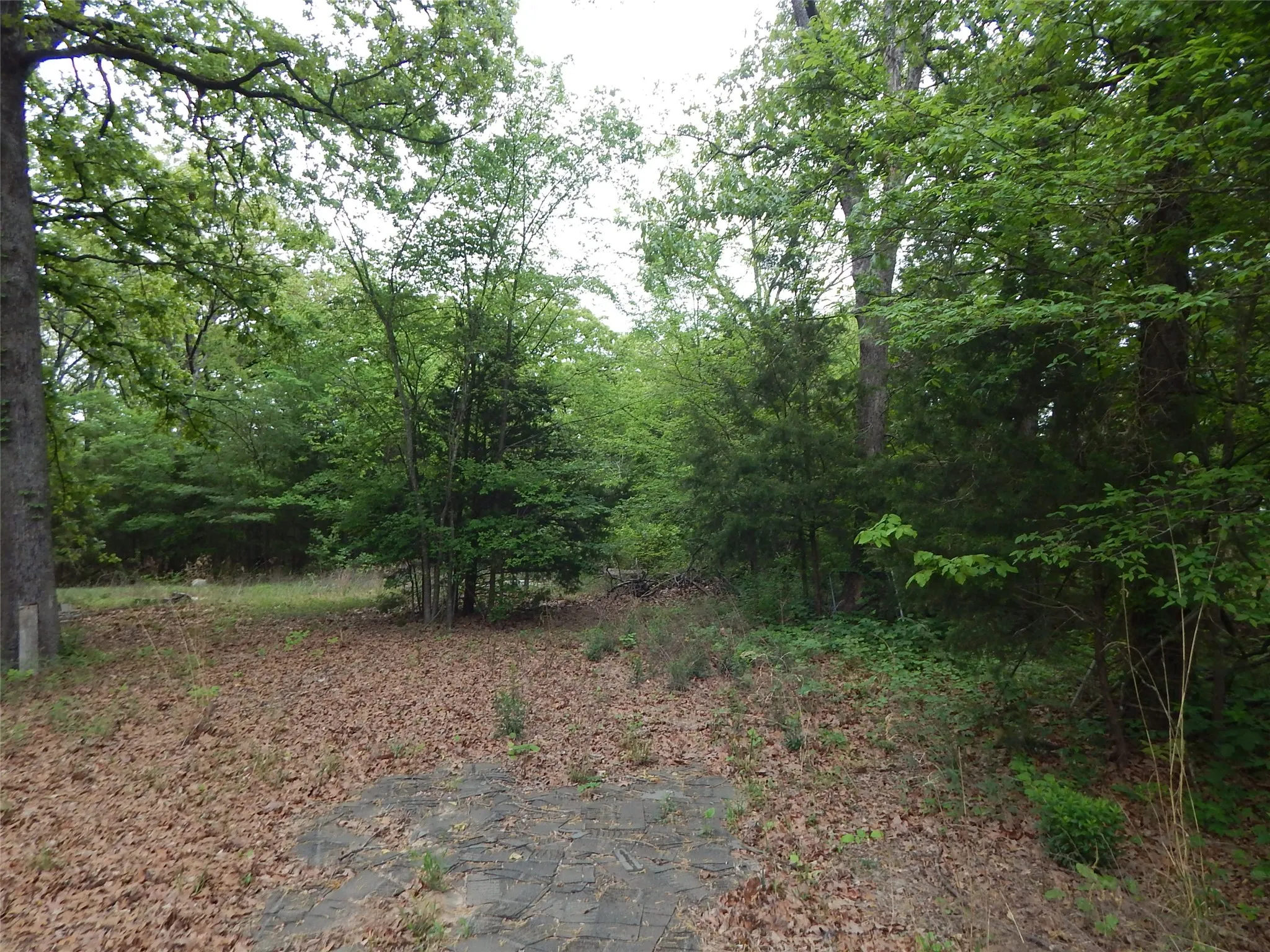 Unimproved Land For Sale in Wood County , 146 CR 1215, Quitman, Texas 75783, 0, 0, Garage spaces, 0 Sqft, built in 0, mls#21229225, Real Estate Agent in Quitman, Homes For Sale in Wood county, Homes For Sale in Quitman, Realtor in Quitman Texas, Real Estate Brokerage Independent Realty Texas, Luminita Cordes Realtor