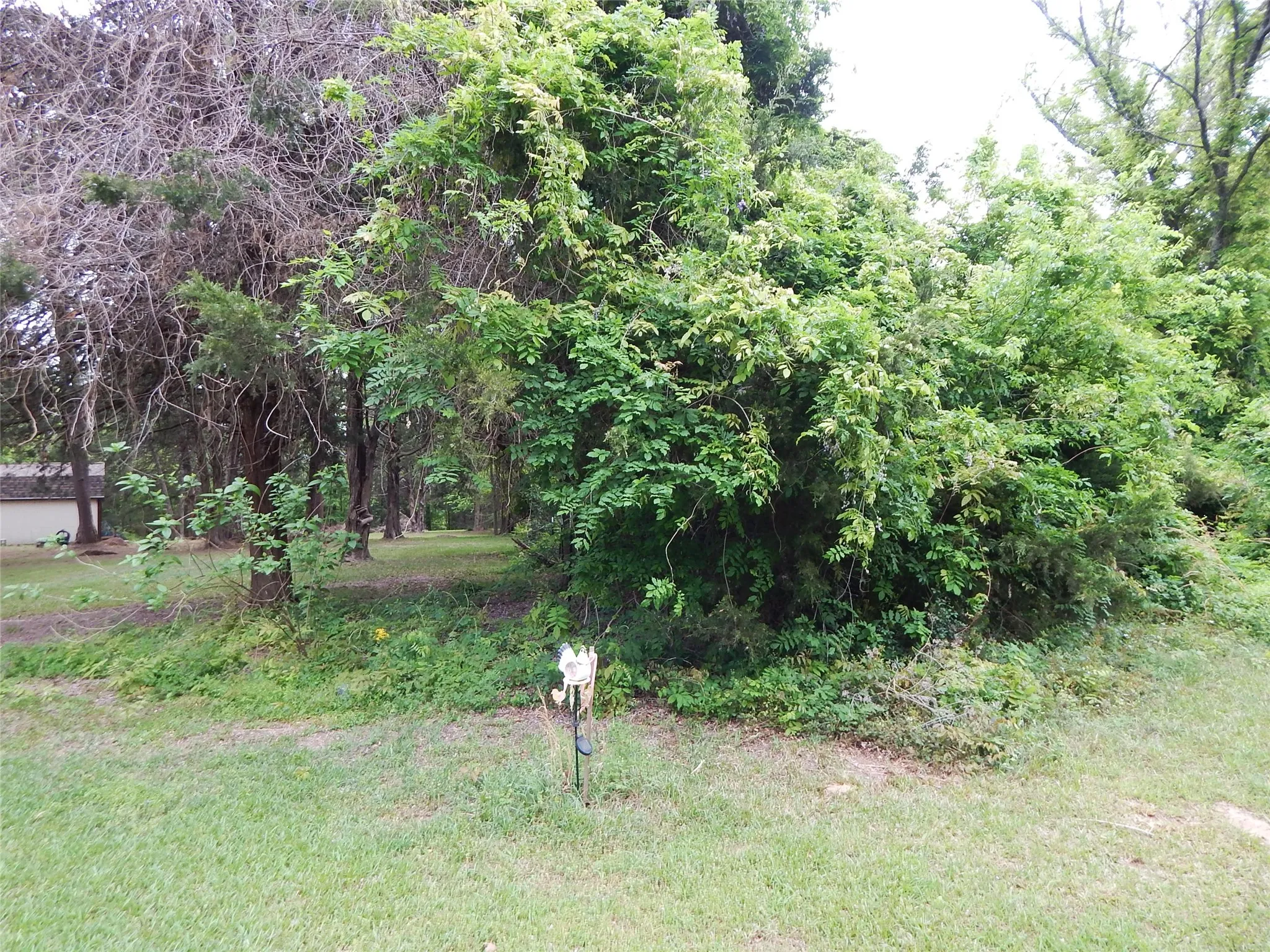 Unimproved Land For Sale in Wood County , 146 CR 1215, Quitman, Texas 75783, 0, 0, Garage spaces, 0 Sqft, built in 0, mls#21229225, Real Estate Agent in Quitman, Homes For Sale in Wood county, Homes For Sale in Quitman, Realtor in Quitman Texas, Real Estate Brokerage Independent Realty Texas, Luminita Cordes Realtor