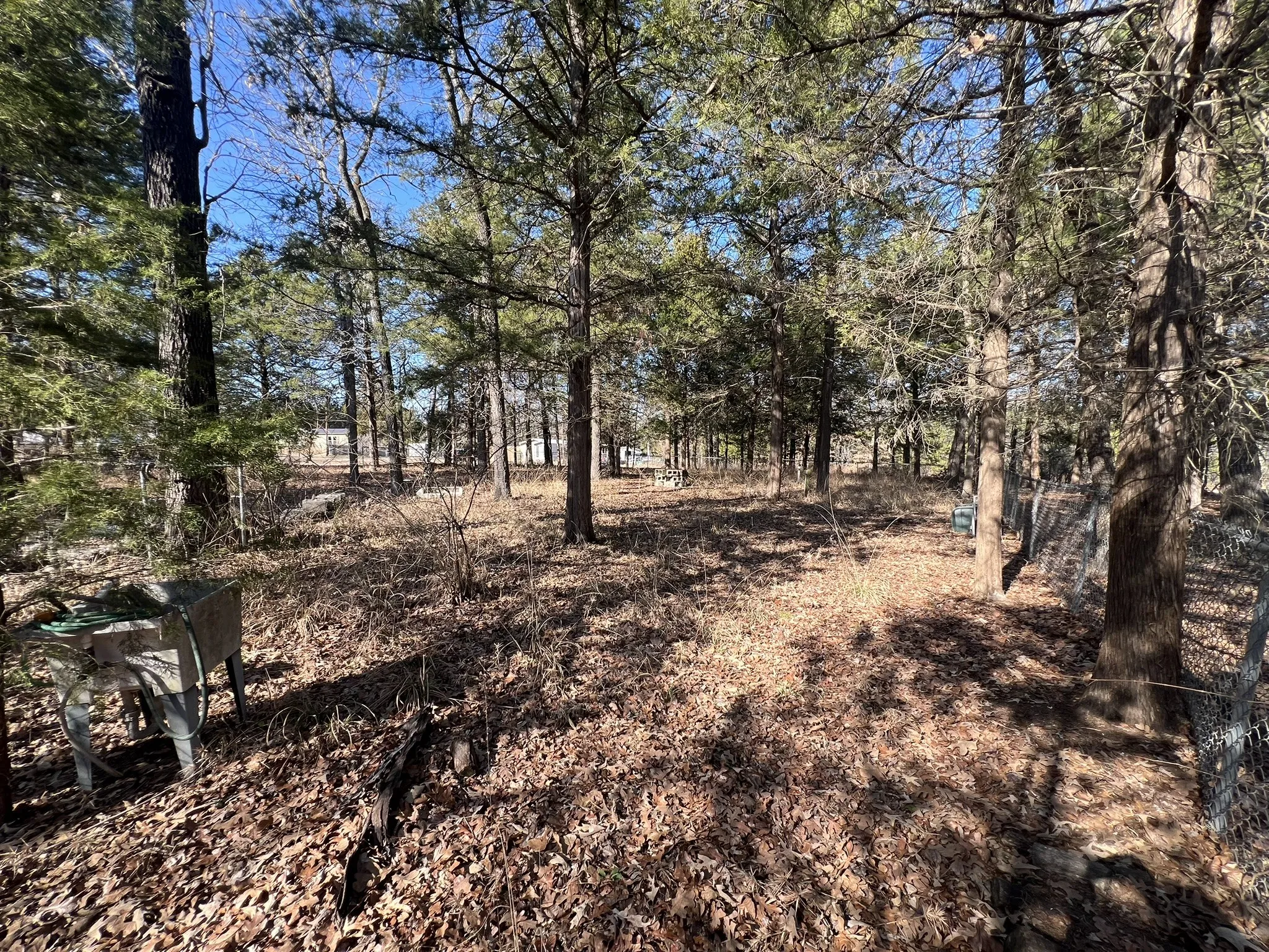 View from Lot 3 back corner looking towards Woodcreek / Sweetgum