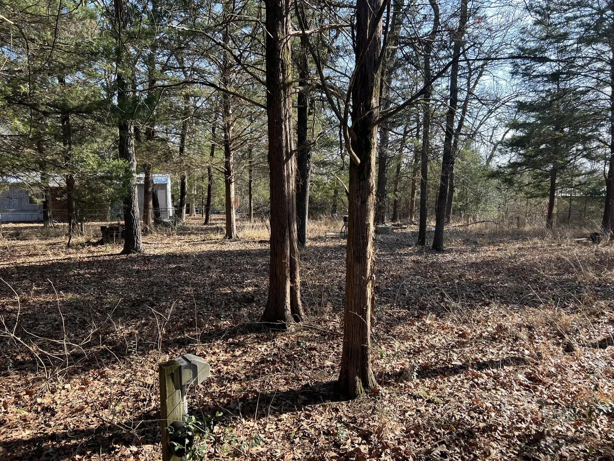 Looking towards back corner of lot 3.  Note, electric onsite