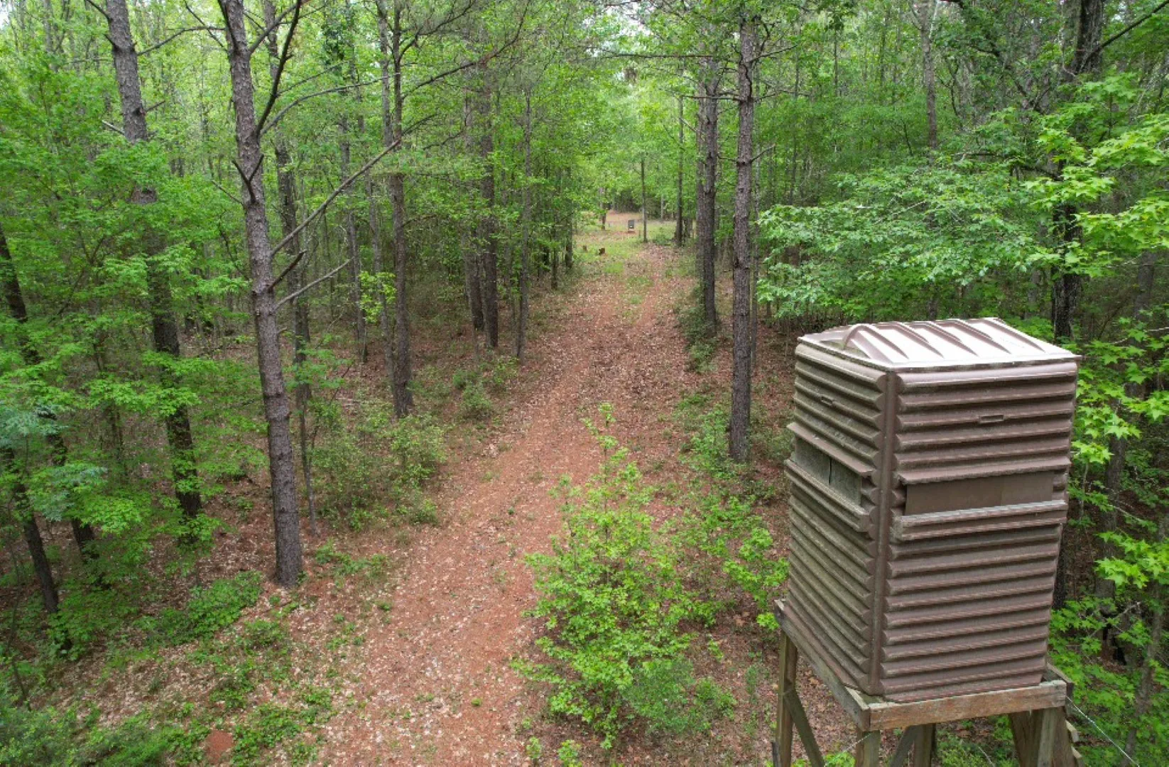 Unimproved Land For Sale in San Augustine County , TBD County Road 120C, San Augustine, Texas 75972, 0, 0, Garage spaces, 0 Sqft, built in 0, Price $485,000, mls#21229238, Real Estate Agent in San Augustine, Homes For Sale in San Augustine county, Homes For Sale in San Augustine, Realtor in San Augustine Texas, Real Estate Brokerage Independent Realty Texas, Luminita Cordes Realtor