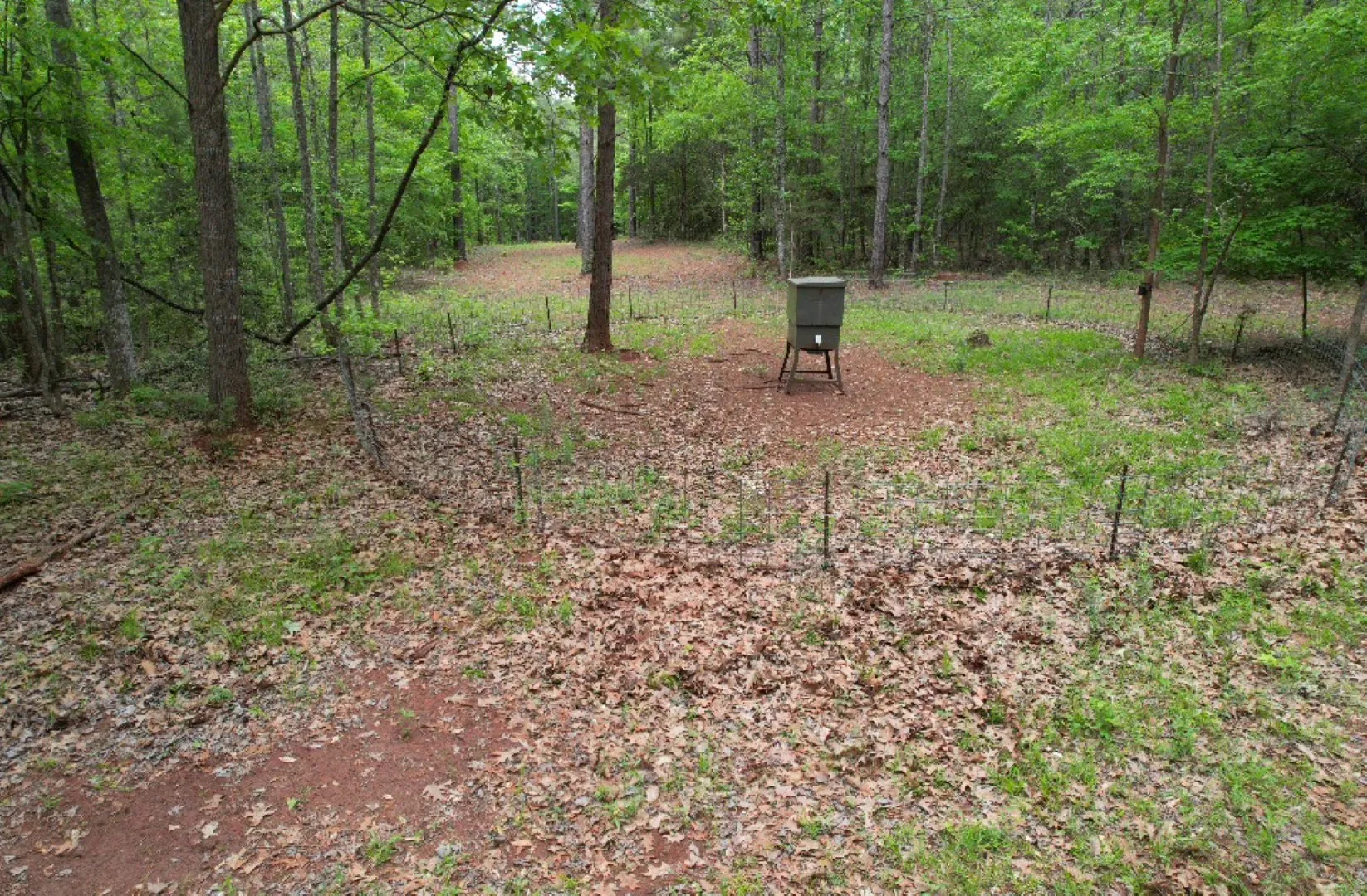 Unimproved Land For Sale in San Augustine County , TBD County Road 120C, San Augustine, Texas 75972, 0, 0, Garage spaces, 0 Sqft, built in 0, Price $485,000, mls#21229238, Real Estate Agent in San Augustine, Homes For Sale in San Augustine county, Homes For Sale in San Augustine, Realtor in San Augustine Texas, Real Estate Brokerage Independent Realty Texas, Luminita Cordes Realtor
