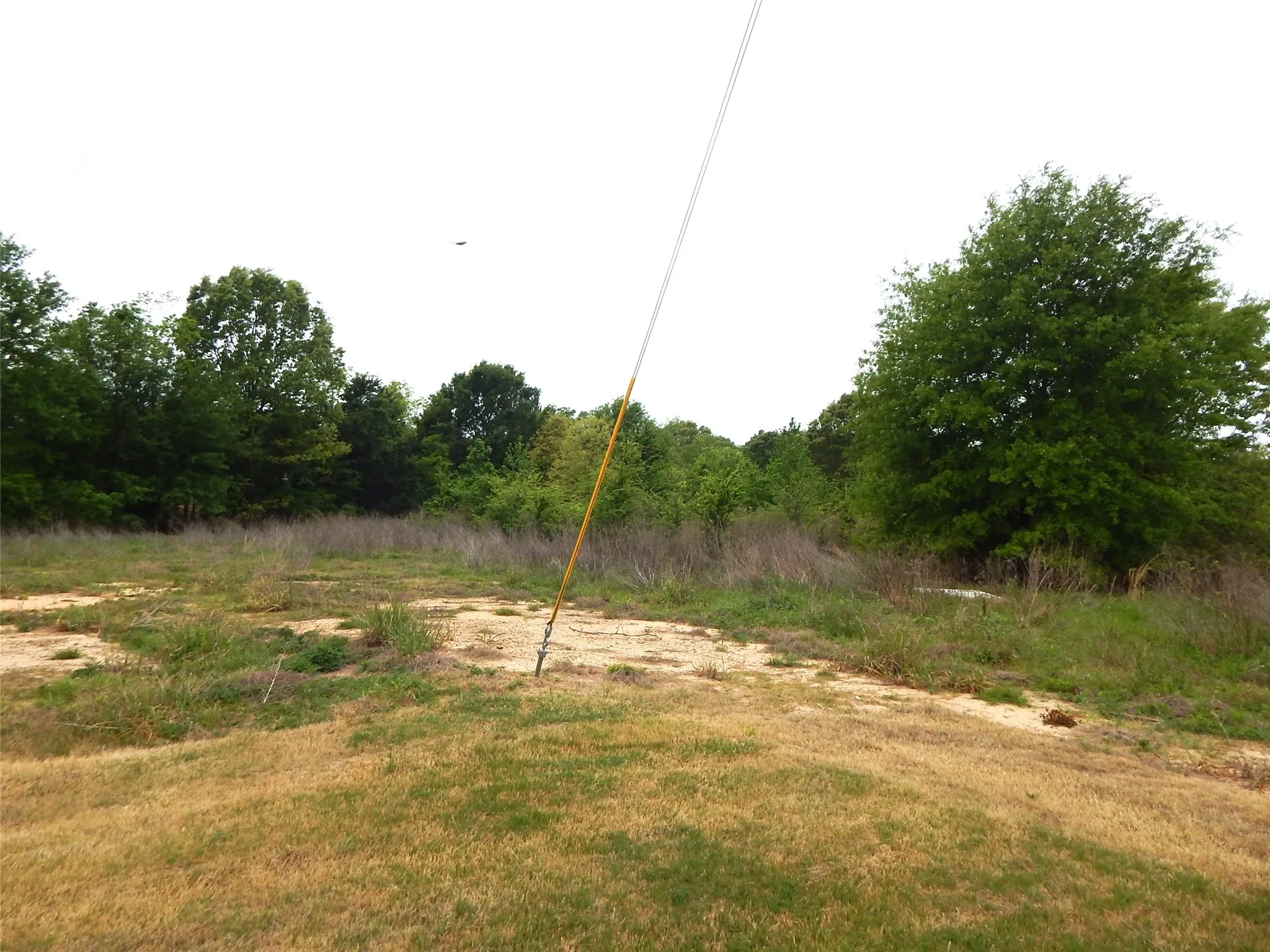 Unimproved Land For Sale in Wood County , TBD W ST HWY 154, Quitman, Texas 75783, 0, 0, Garage spaces, 0 Sqft, built in 0, Unknown, mls#21229337, Real Estate Agent in Quitman, Homes For Sale in Wood county, Homes For Sale in Quitman, Realtor in Quitman Texas, Real Estate Brokerage Independent Realty Texas, Luminita Cordes Realtor