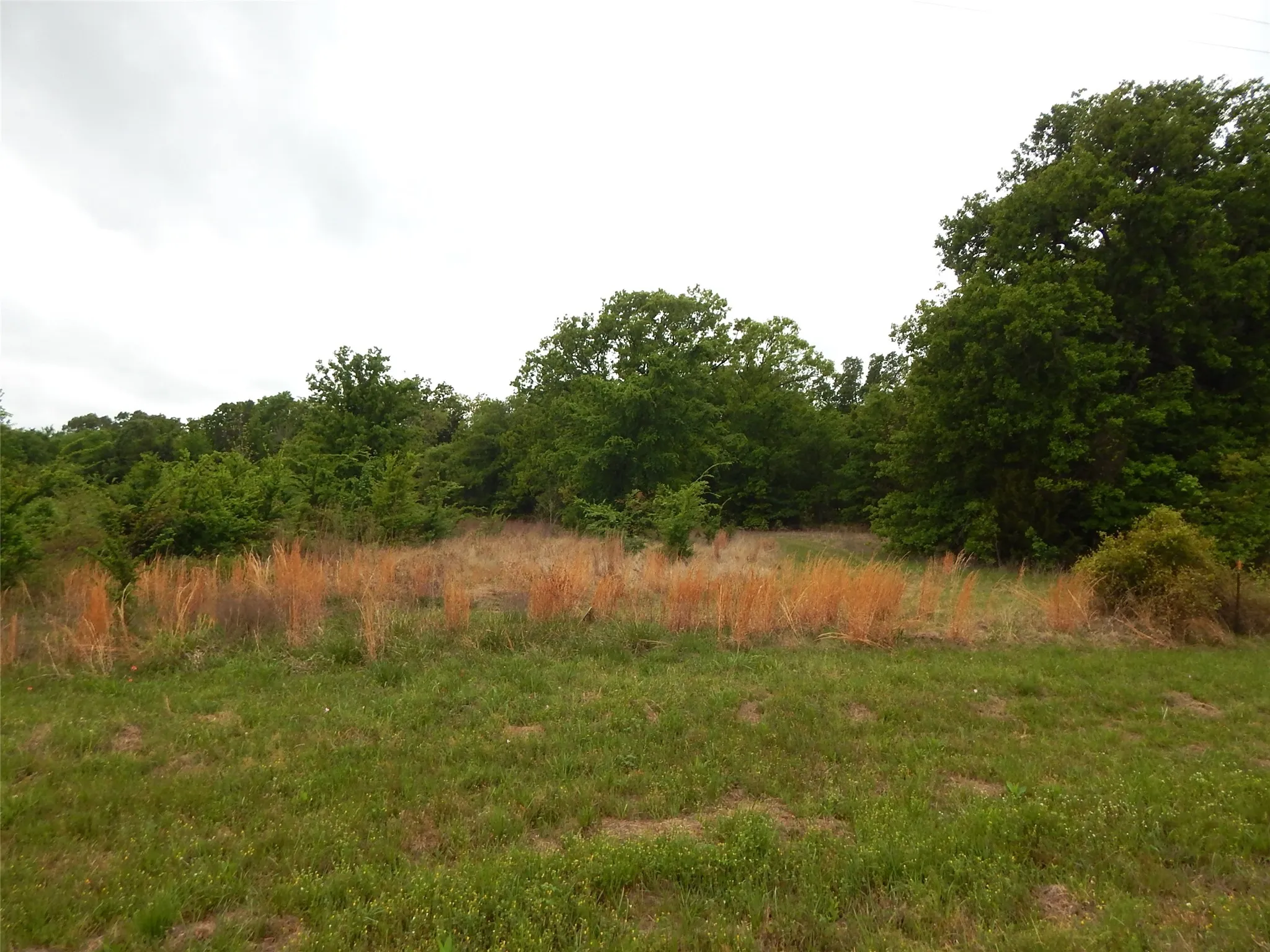 Unimproved Land For Sale in Wood County , TBD W ST HWY 154, Quitman, Texas 75783, 0, 0, Garage spaces, 0 Sqft, built in 0, Unknown, mls#21229337, Real Estate Agent in Quitman, Homes For Sale in Wood county, Homes For Sale in Quitman, Realtor in Quitman Texas, Real Estate Brokerage Independent Realty Texas, Luminita Cordes Realtor