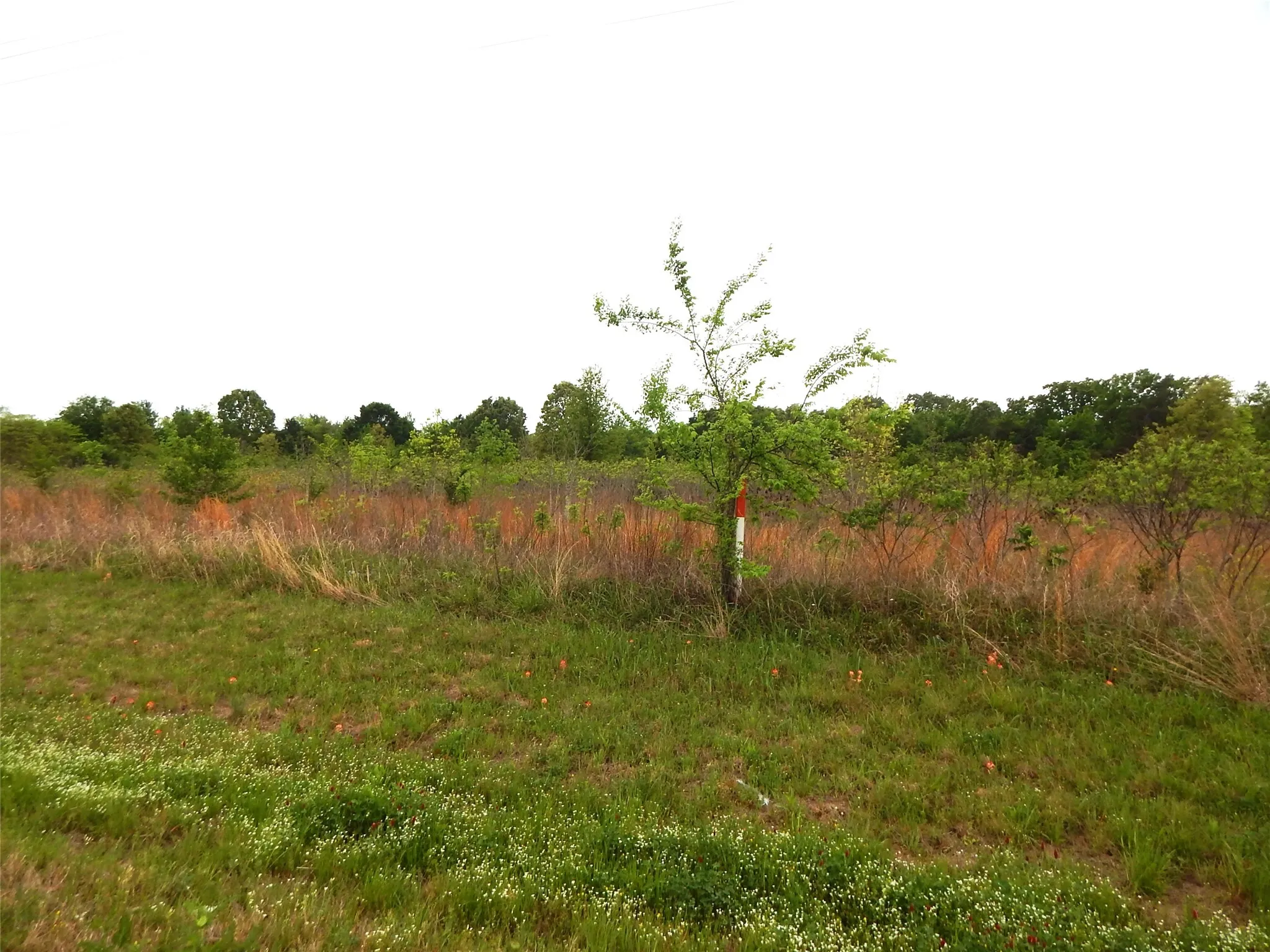 Unimproved Land For Sale in Wood County , TBD W ST HWY 154, Quitman, Texas 75783, 0, 0, Garage spaces, 0 Sqft, built in 0, Unknown, mls#21229337, Real Estate Agent in Quitman, Homes For Sale in Wood county, Homes For Sale in Quitman, Realtor in Quitman Texas, Real Estate Brokerage Independent Realty Texas, Luminita Cordes Realtor