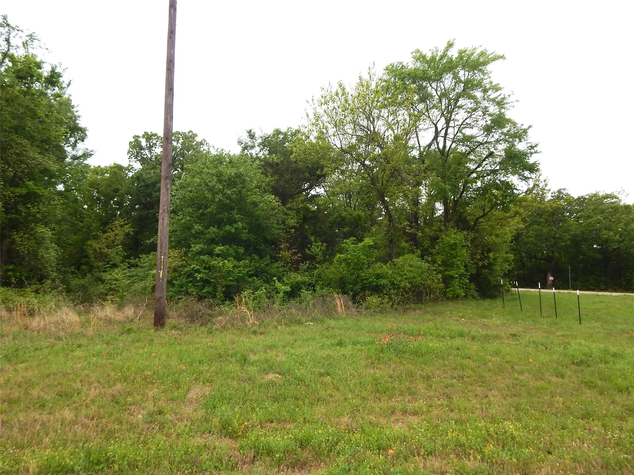 Unimproved Land For Sale in Wood County , TBD W ST HWY 154, Quitman, Texas 75783, 0, 0, Garage spaces, 0 Sqft, built in 0, Unknown, mls#21229337, Real Estate Agent in Quitman, Homes For Sale in Wood county, Homes For Sale in Quitman, Realtor in Quitman Texas, Real Estate Brokerage Independent Realty Texas, Luminita Cordes Realtor