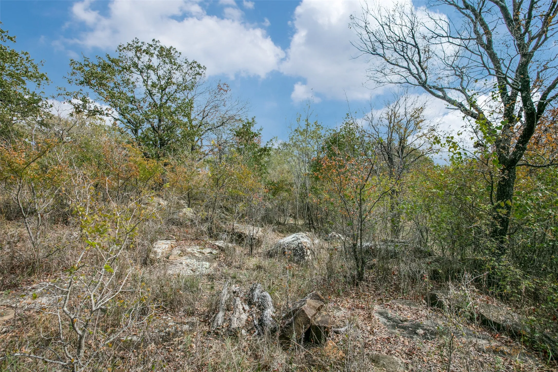 Unimproved Land For Sale in Wise County , 108 Three Forks Crossing, Chico, Texas 76431, 0, 0, Garage spaces, 0 Sqft, built in 0, mls#21229203, Real Estate Agent in Chico, Homes For Sale in Wise county, Homes For Sale in Chico, Realtor in Chico Texas, Real Estate Brokerage Independent Realty Texas, Luminita Cordes Realtor